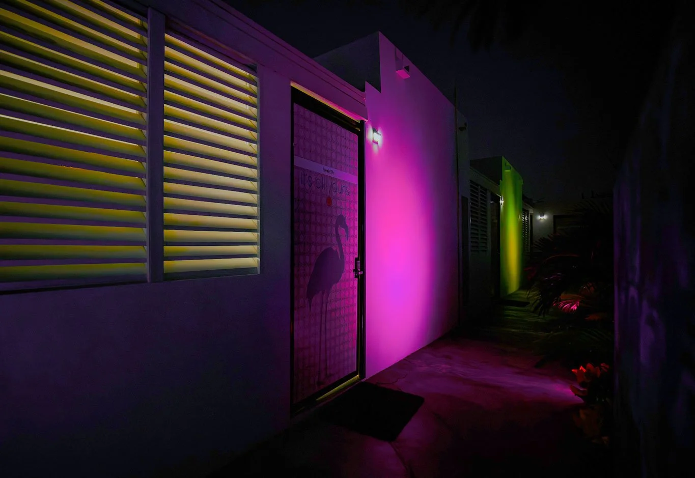 Nighttime exterior view of a building with colorful lighting, featuring a door with a flamingo design and a vented window on the left.