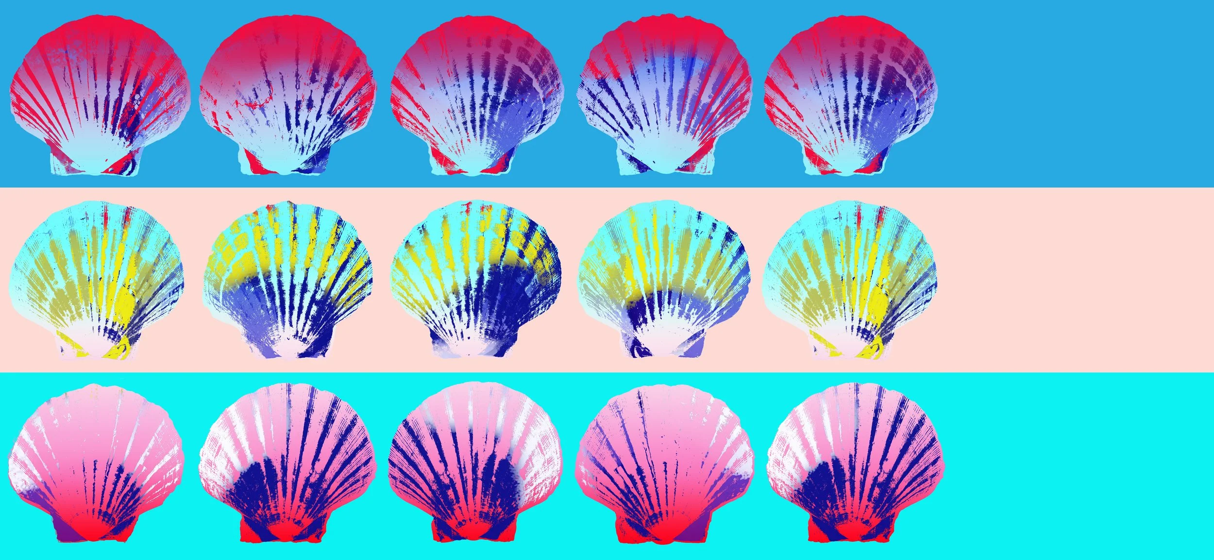 A colorful digital artwork of seashells with three rows of seashell images, each row featuring five shells in different color schemes and backgrounds.