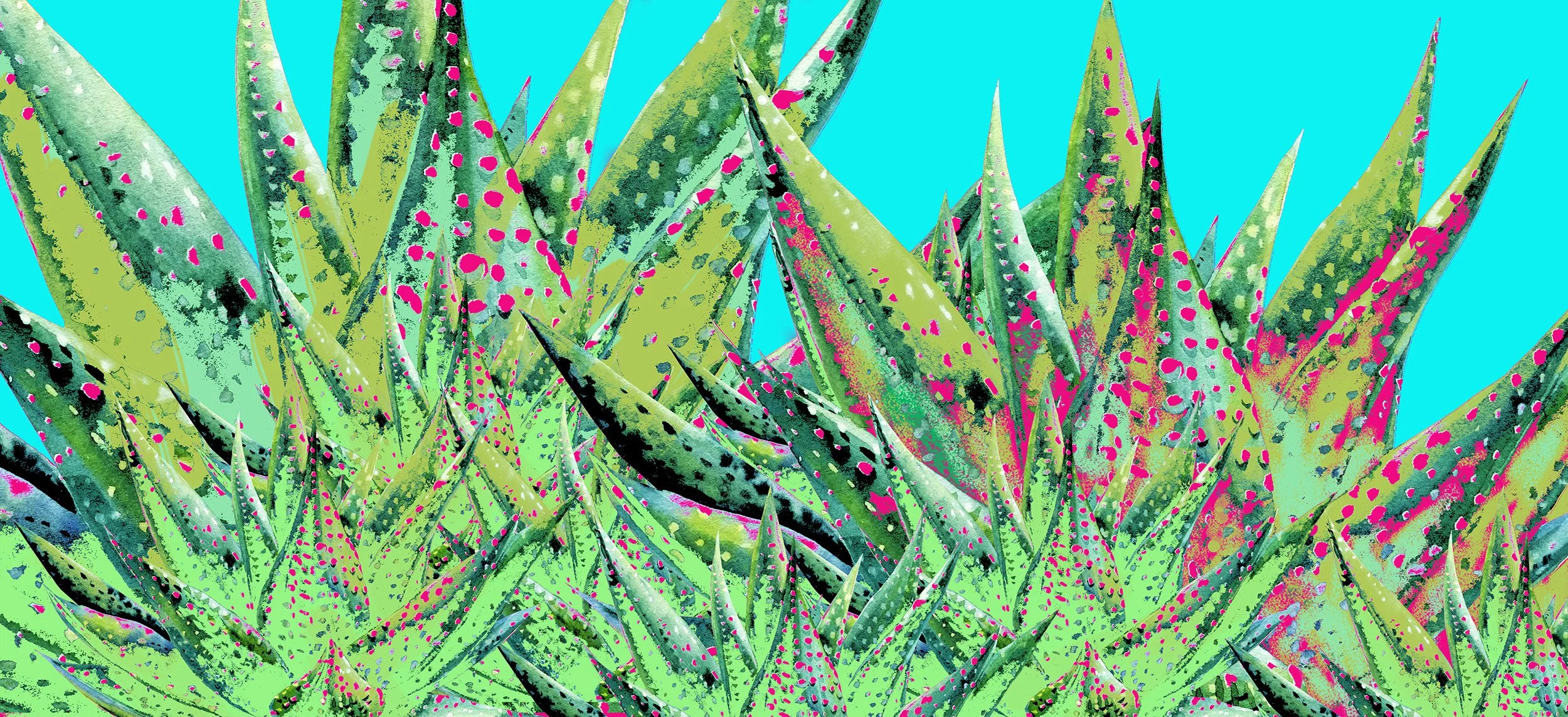 Digital illustration of aloe plants with long, spiky green leaves that have pink spots, set against a bright blue background.
