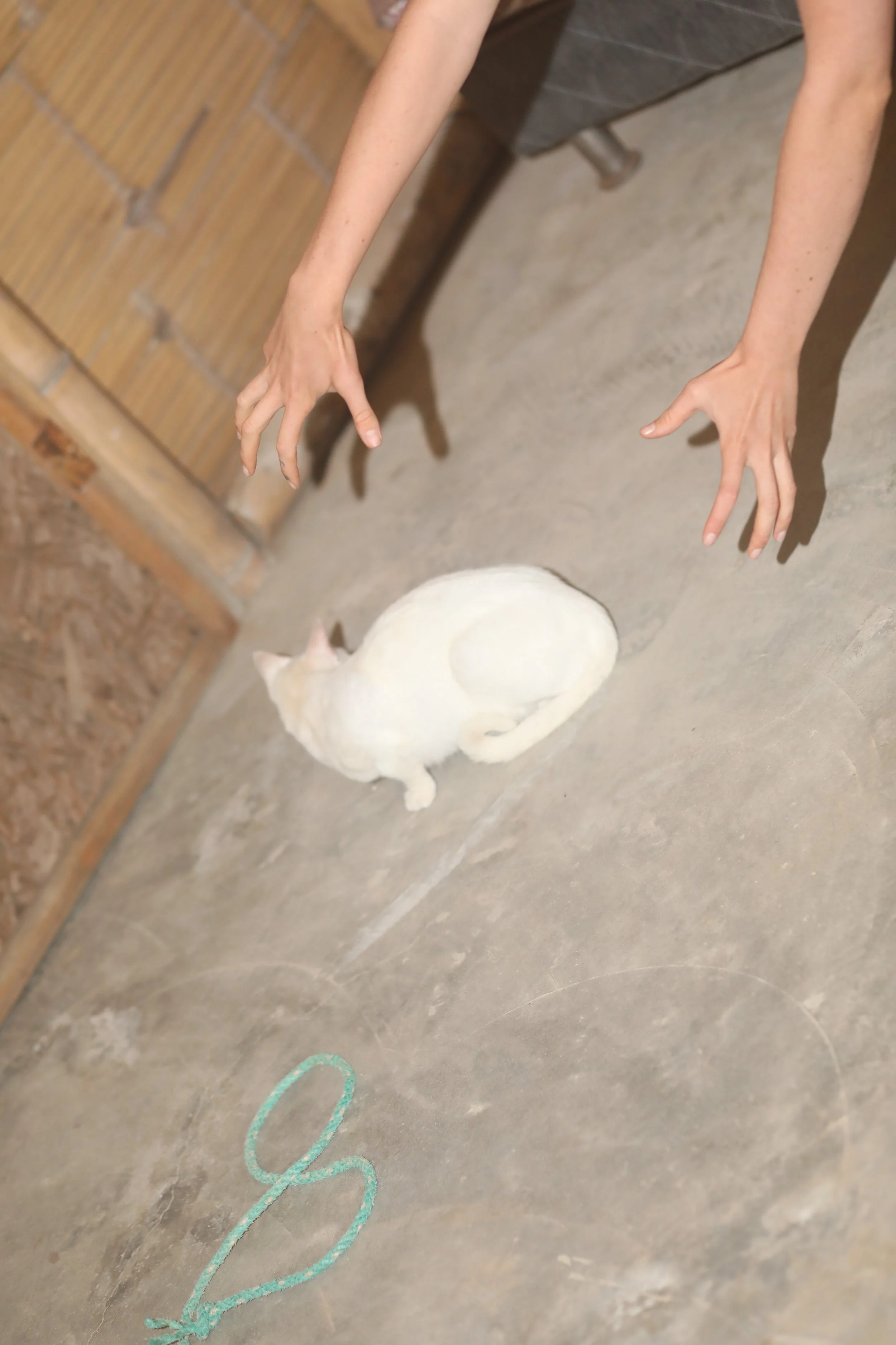 Everyday KINK-8620.jpg