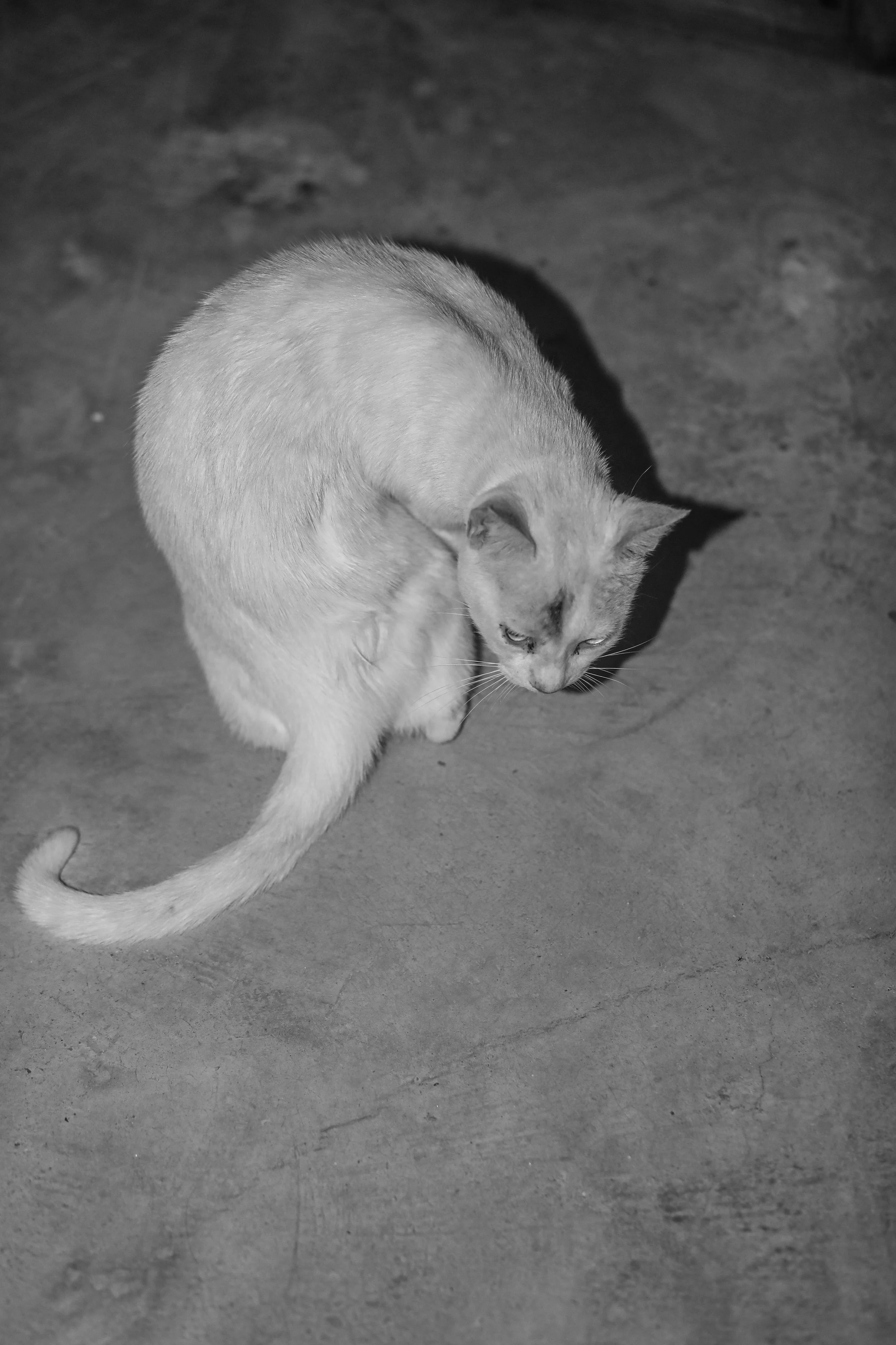 Everyday KINK-8655.jpg