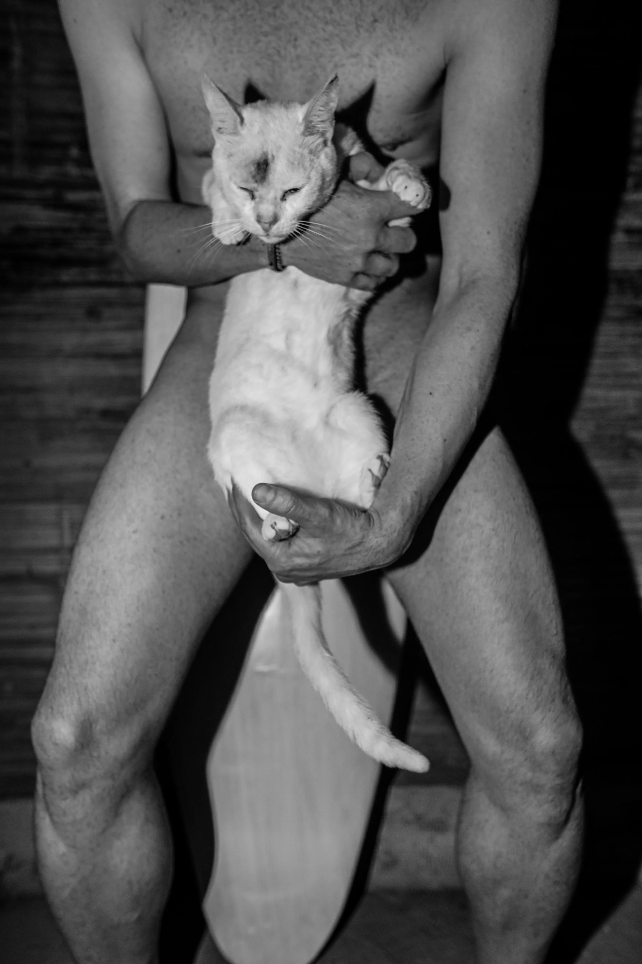 Everyday KINK-8700.jpg