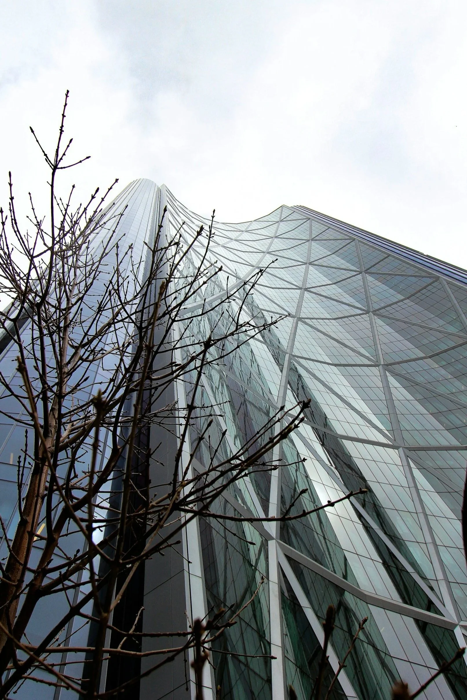 MHM compliance and audit experts answering your questions