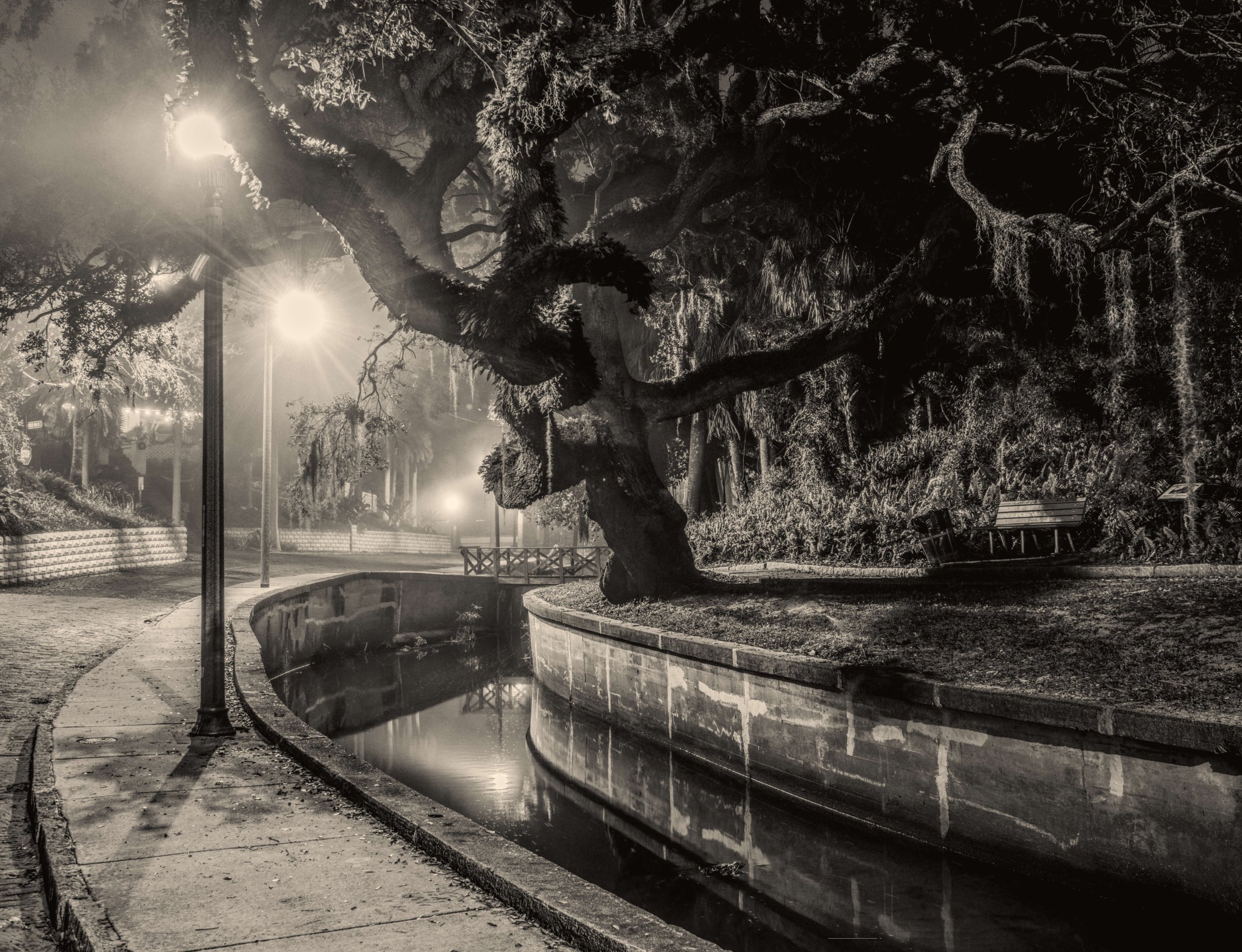 The fog in Roser Park