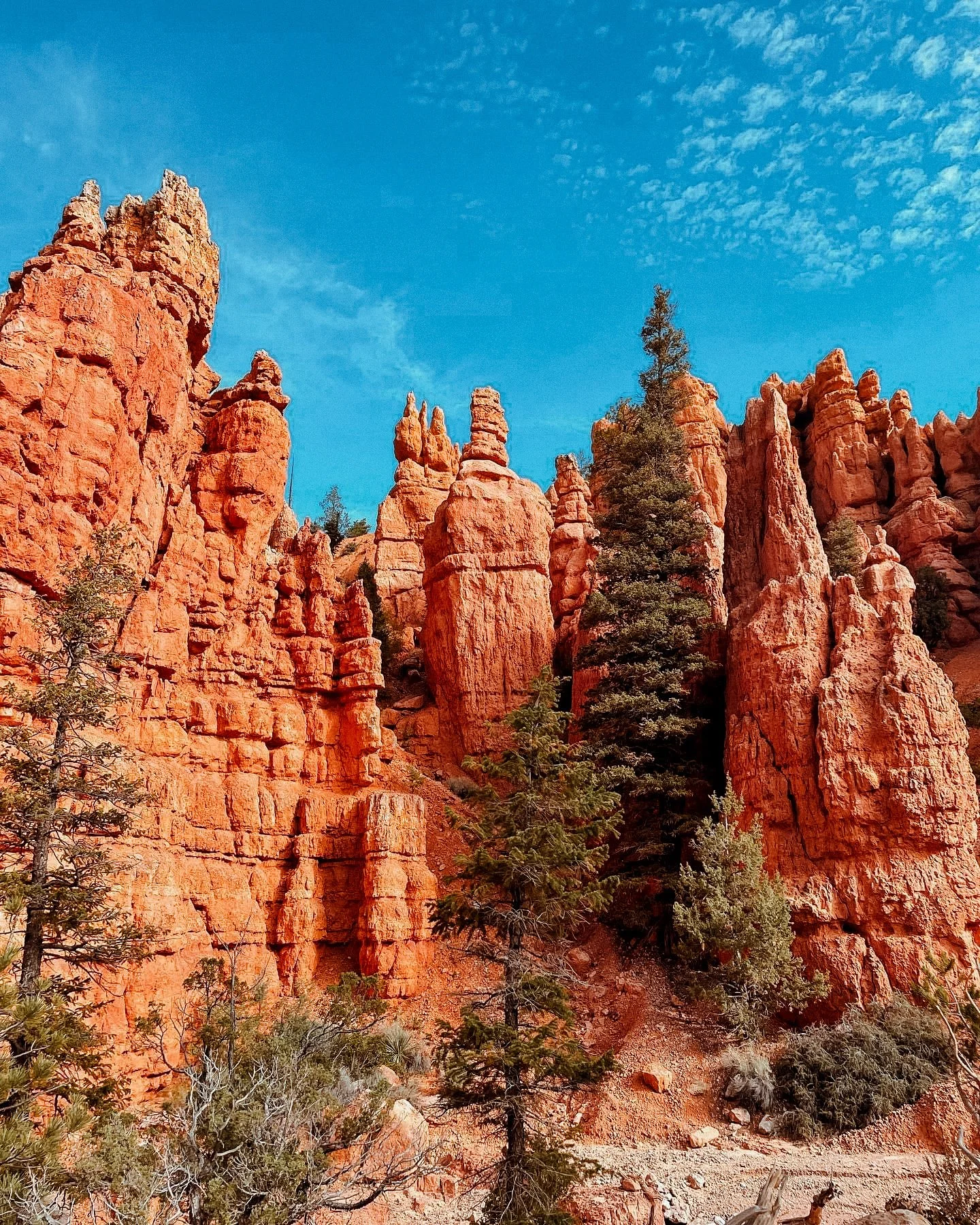 brycecanyon-park-travel.JPG