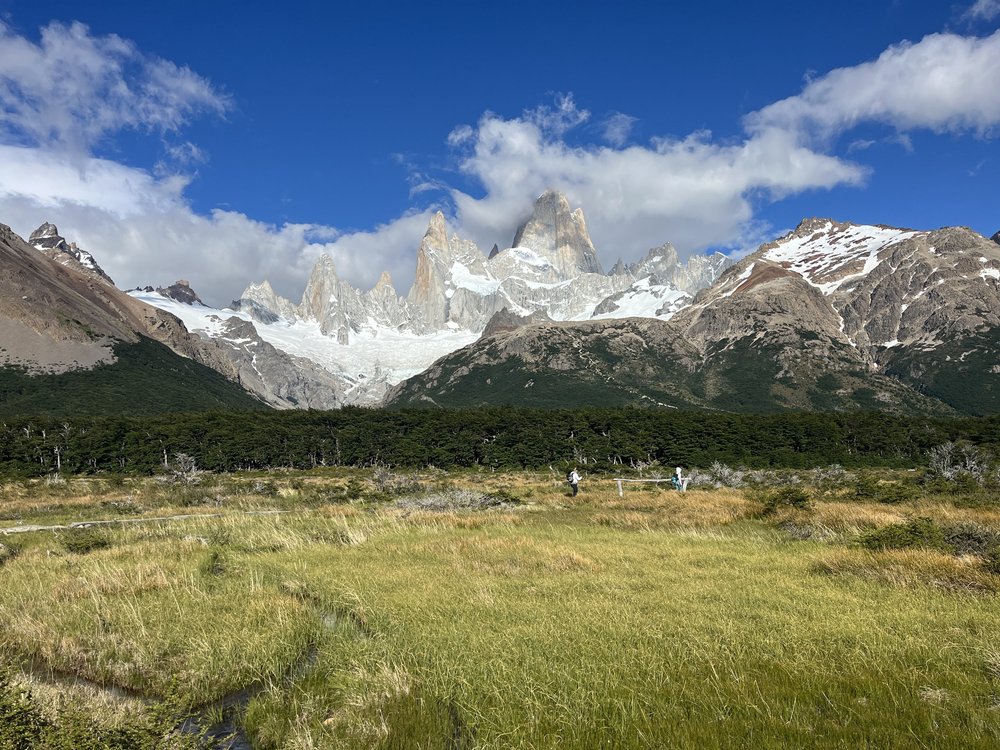 The Fitz skyline. So Pretty.