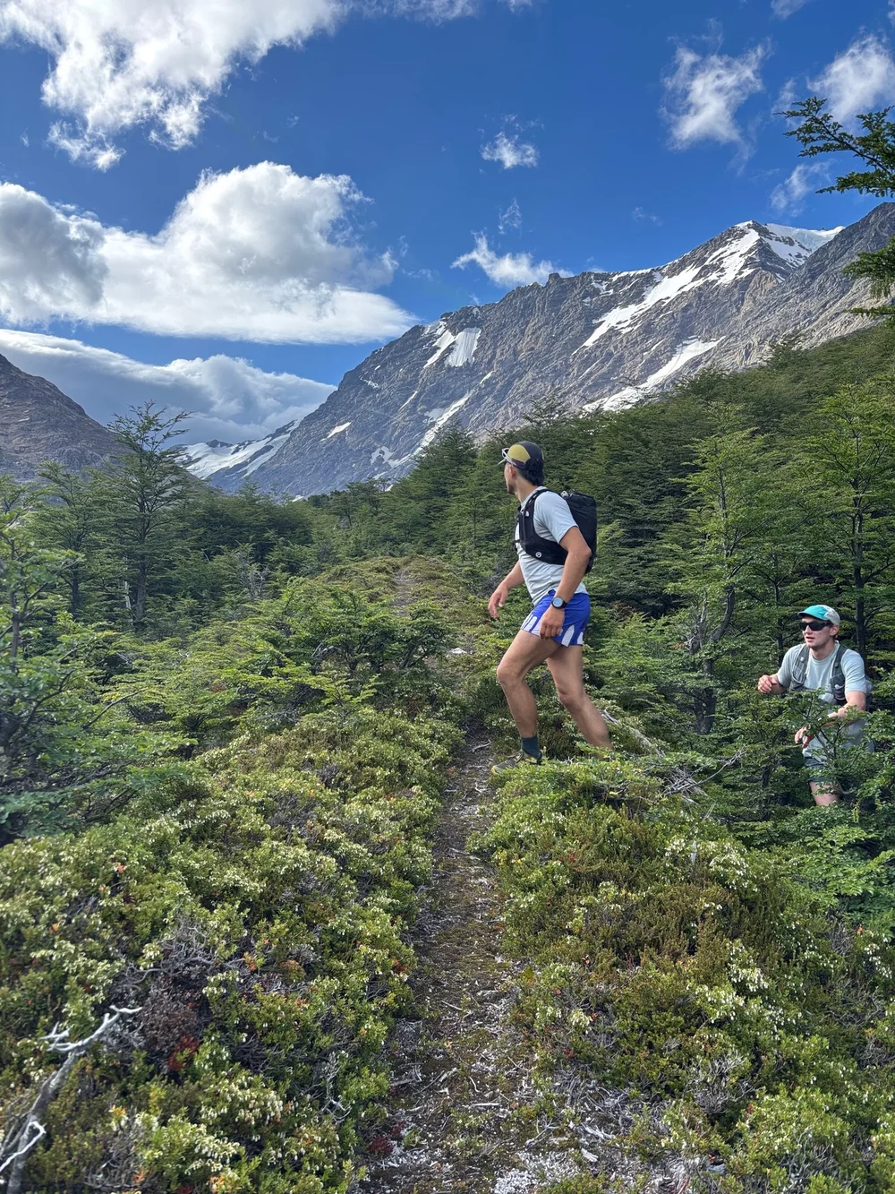 Emerging from the forest (Photo: Jenny Abegg)