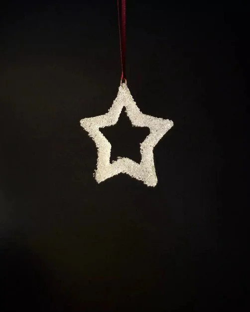 Dirt Child Design Star.jpeg