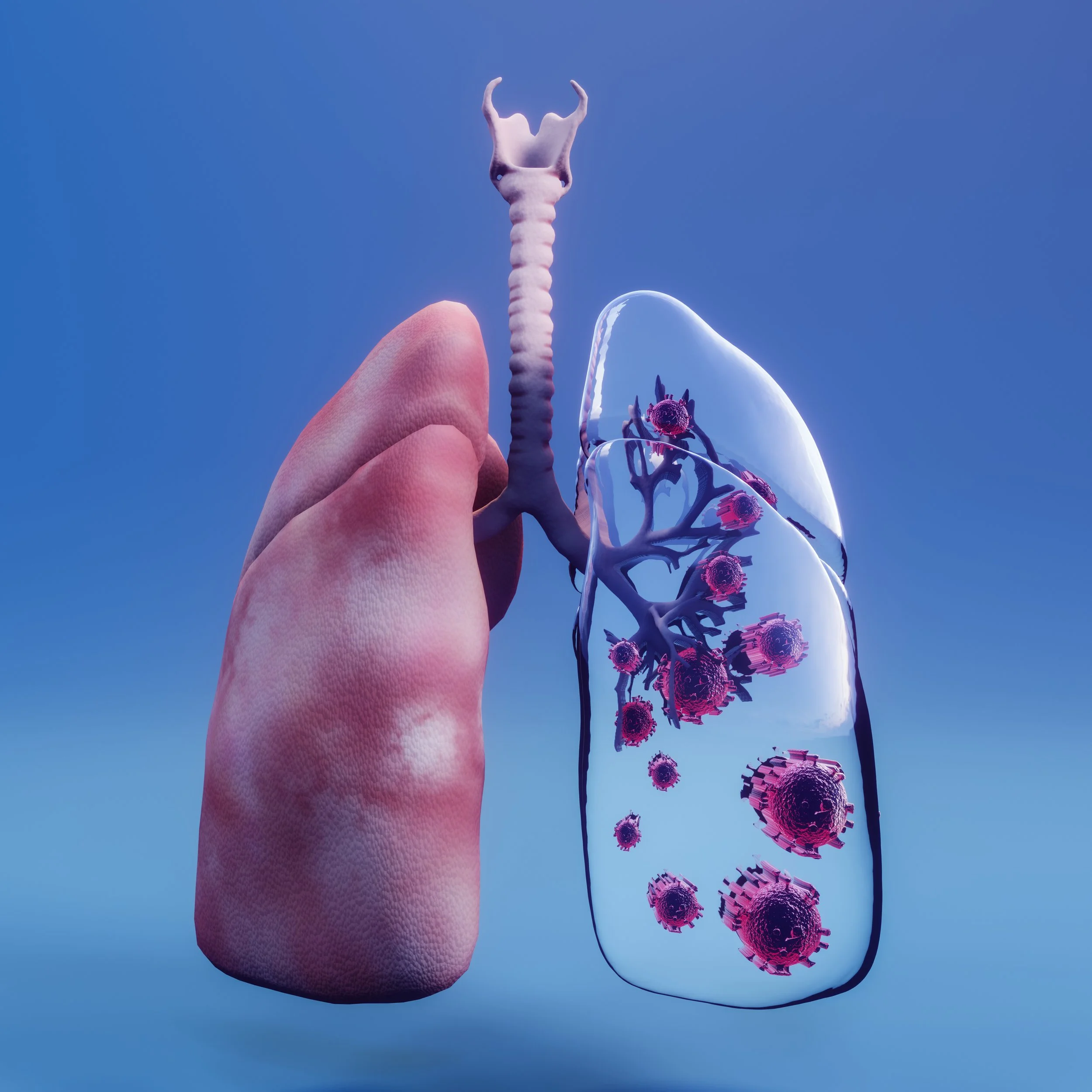 glass-lung-with-covid-19-coronavirus-2019-n-microscopic-view-floating-influenza-virus-cells-3d-rendering.jpg