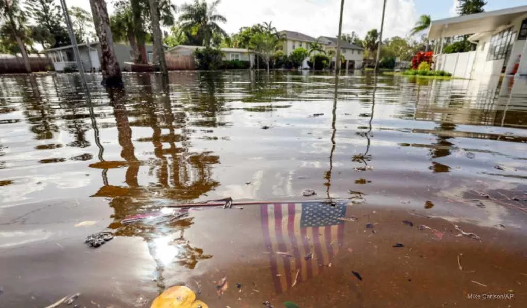 Hurricane Helene Recovery Efforts &amp; Donations to Local Charities.