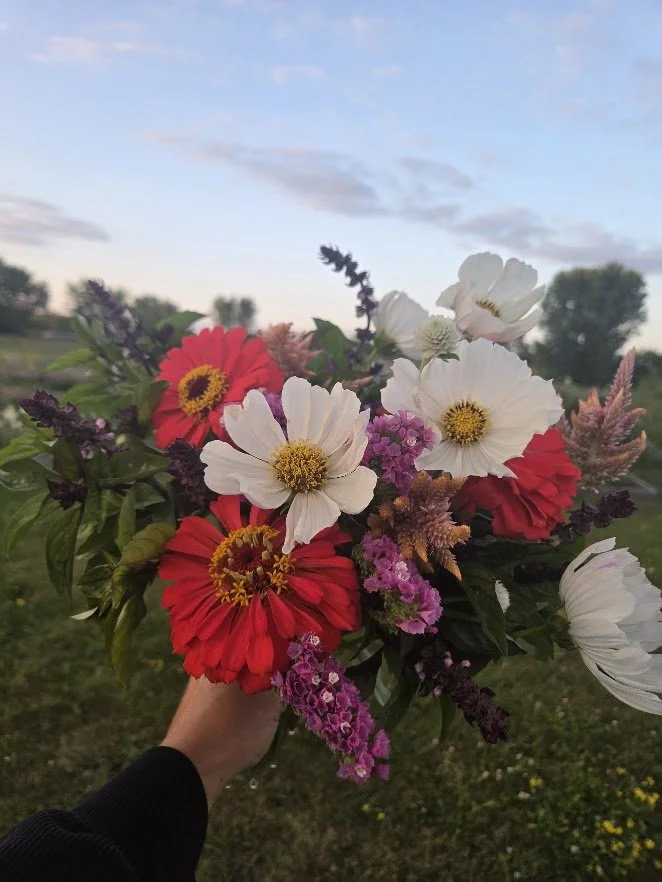 Single summer bouquet