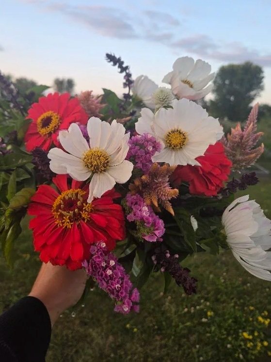 Coral_zinnia_bouquet.jpg