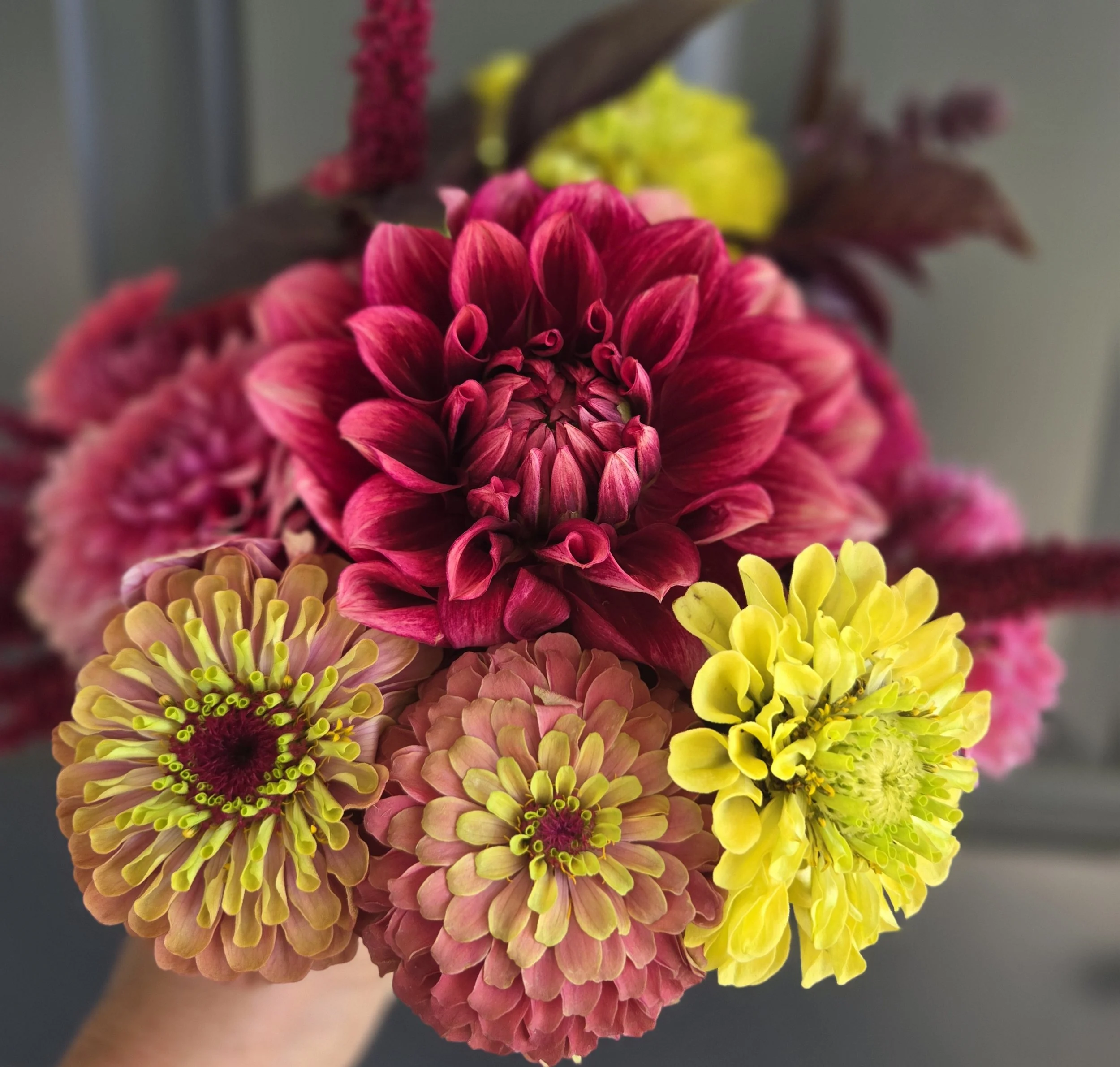 Homecoming bouquet2 - reduced.jpg
