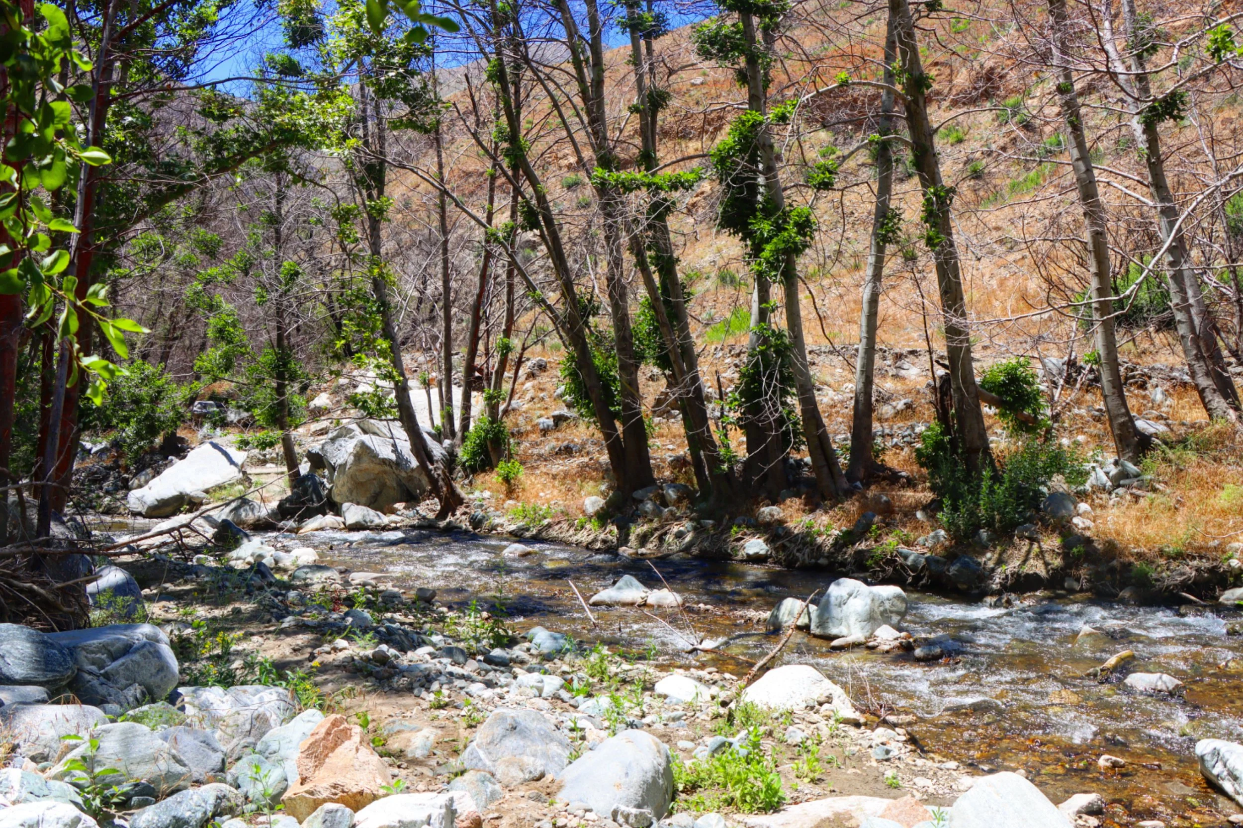 The light must shine.