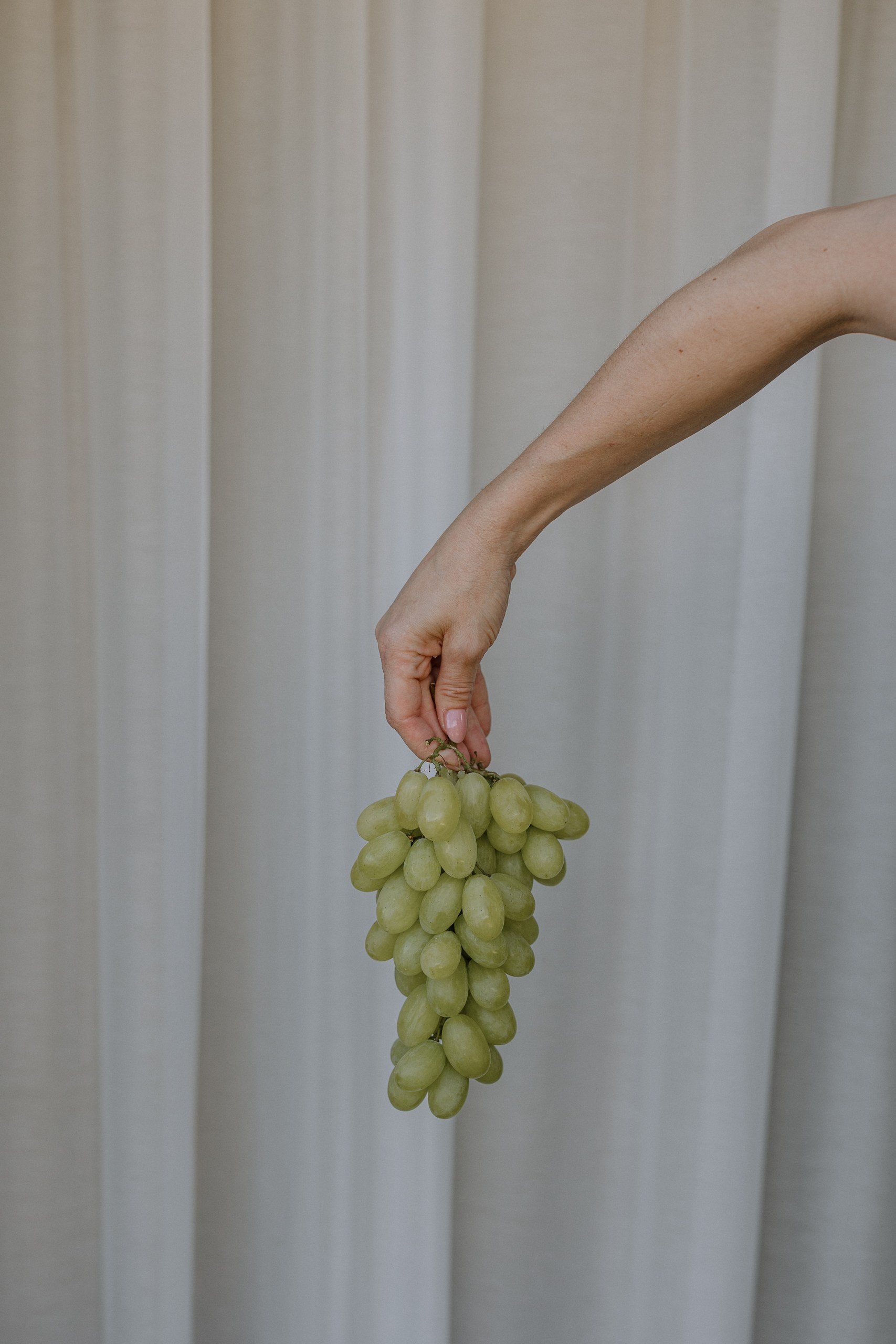A look at the Swiss wine industry with Daniel Fink from the Winery 8247
