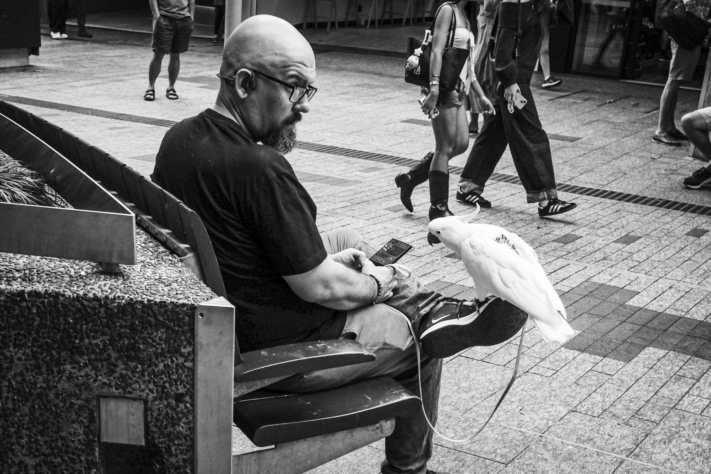 DSCF3809-2.jpg