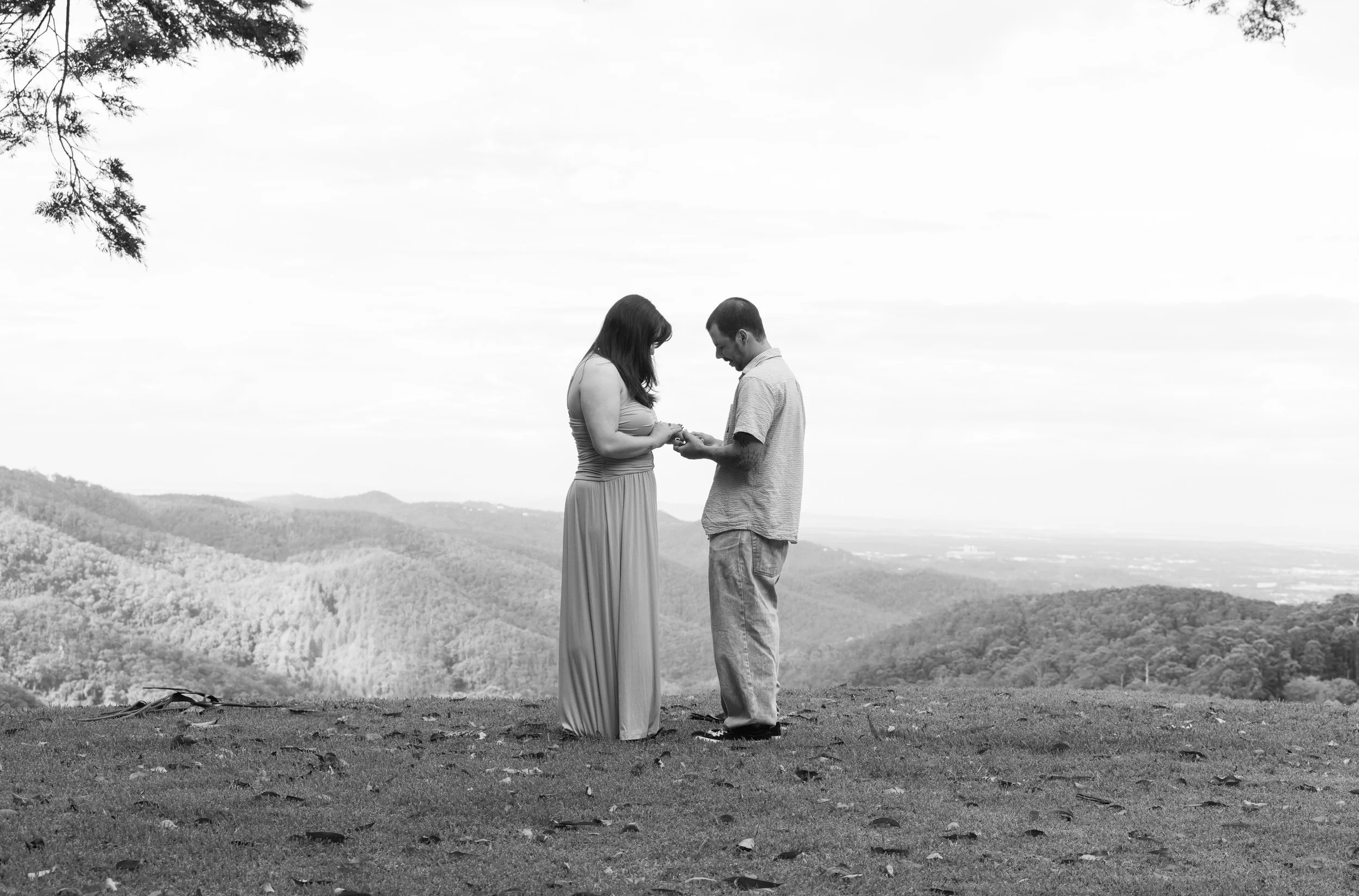 Small file -1451.jpg