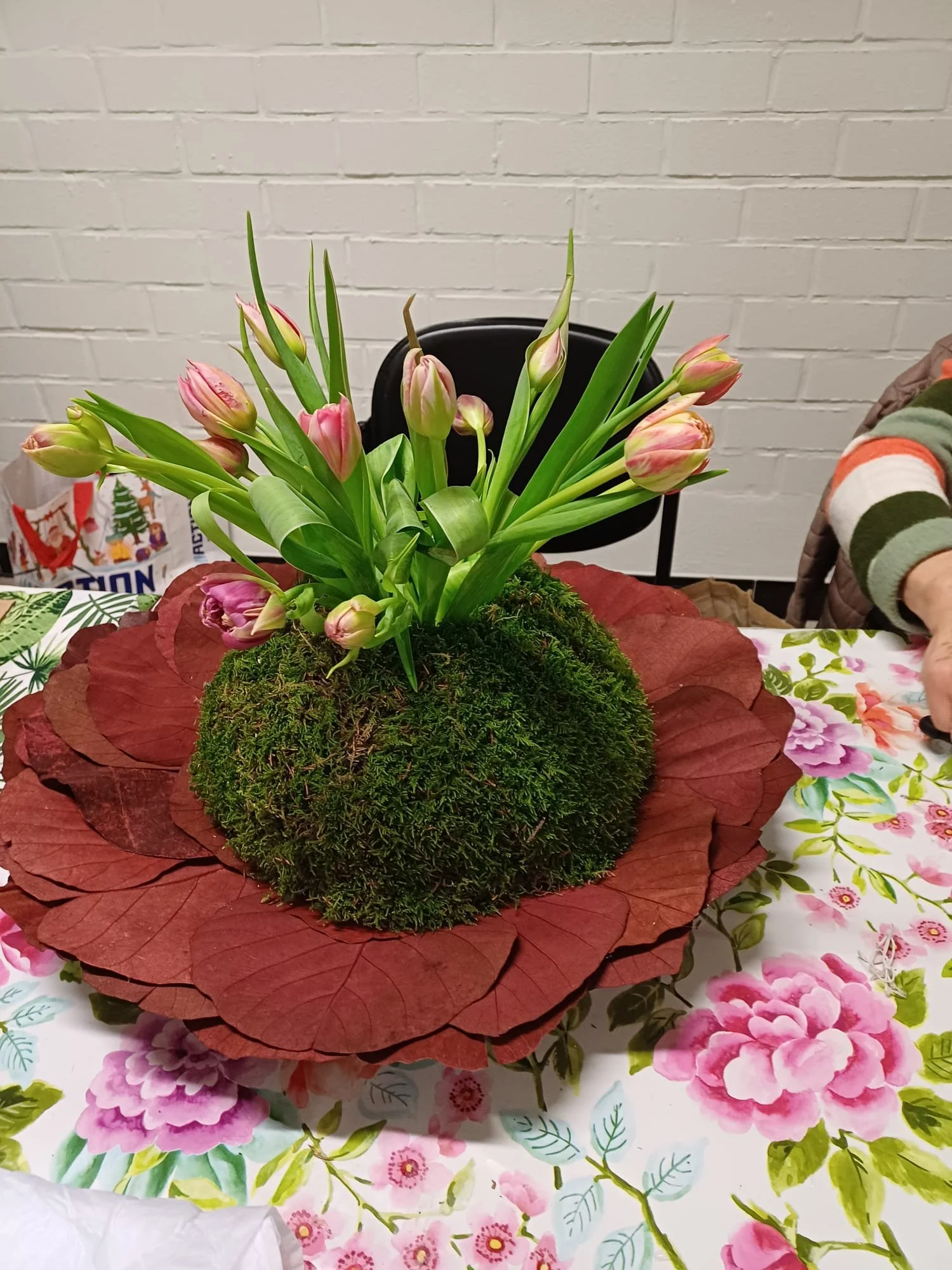 PHOTO-2026-02-26-10-29-17 (4).jpg