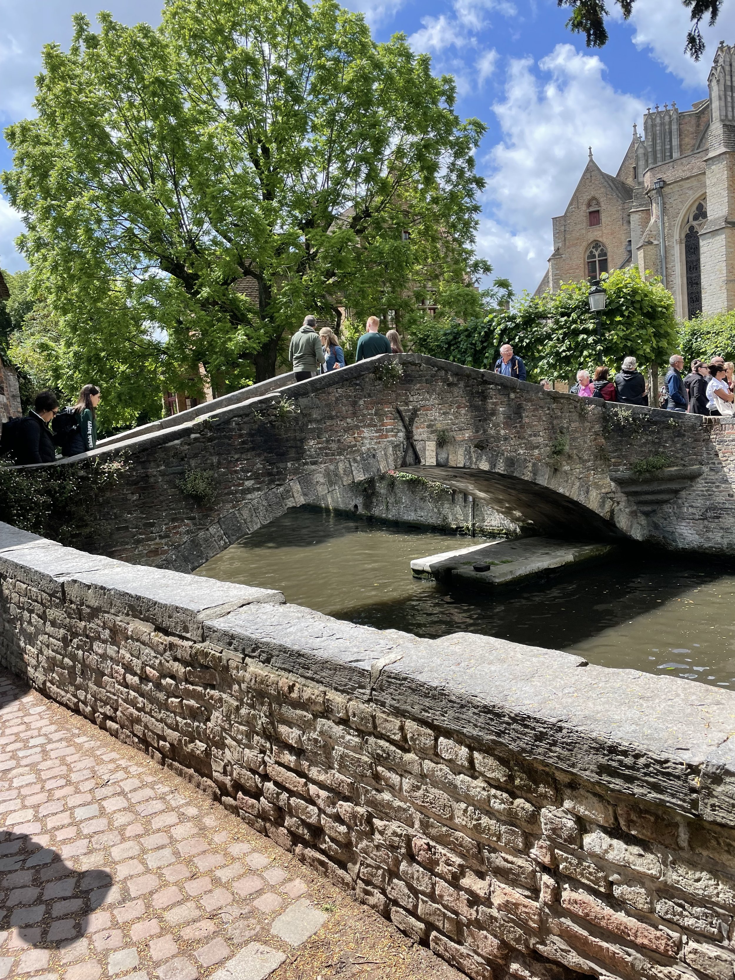 IMG_0689.jpeg
