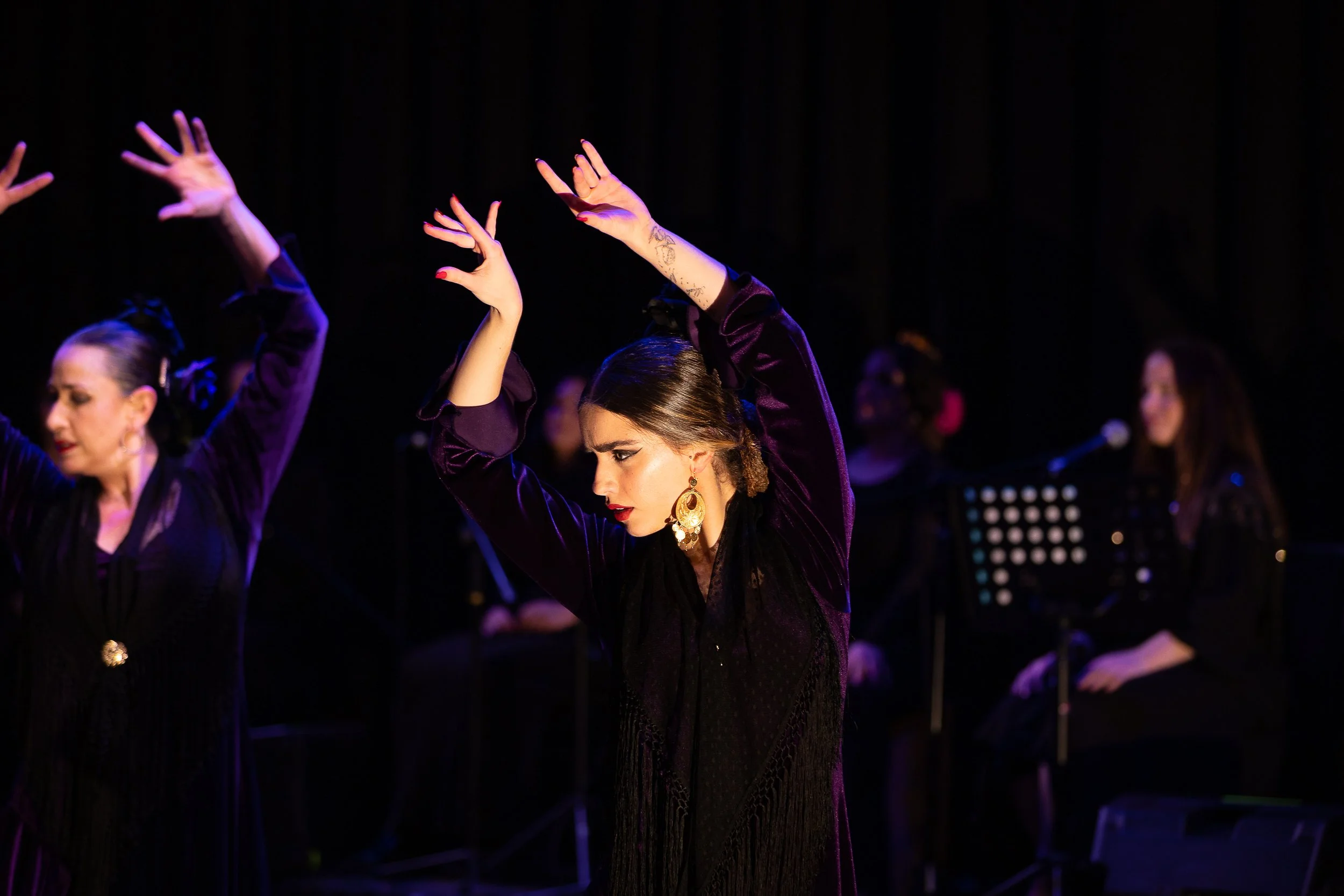 PerformancePhotographyMelbourne_Subir_GasWorksTheatre2024_Image©VenessaTrombettaPhotography©14