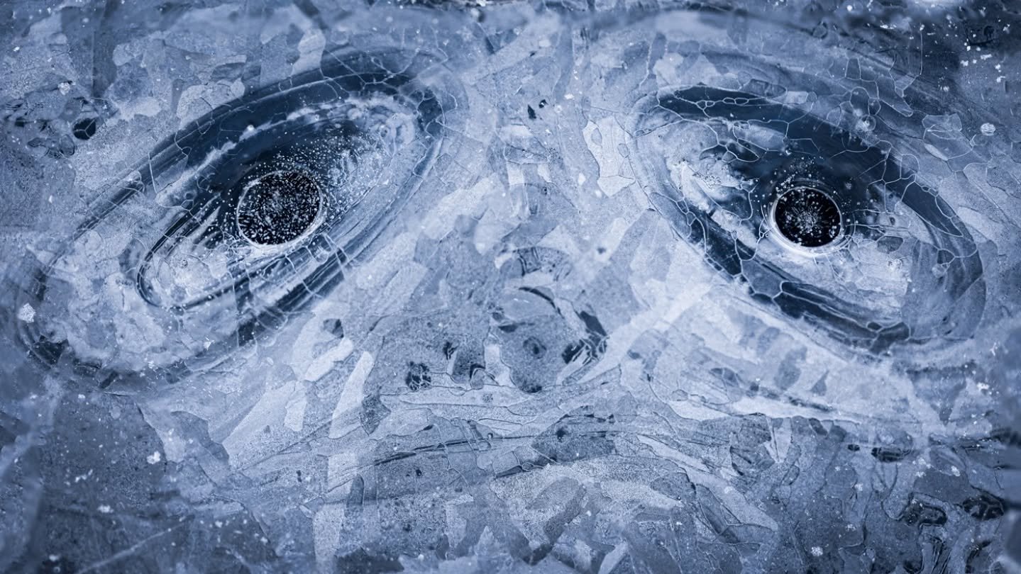 My photo "Sad ice face" was entered in the Nordic Nature Photo Contest 2025, art series. To my delight, my photo was among the top 10 finalists in its category! Although there was no actual "medal", I am very grateful for this rec