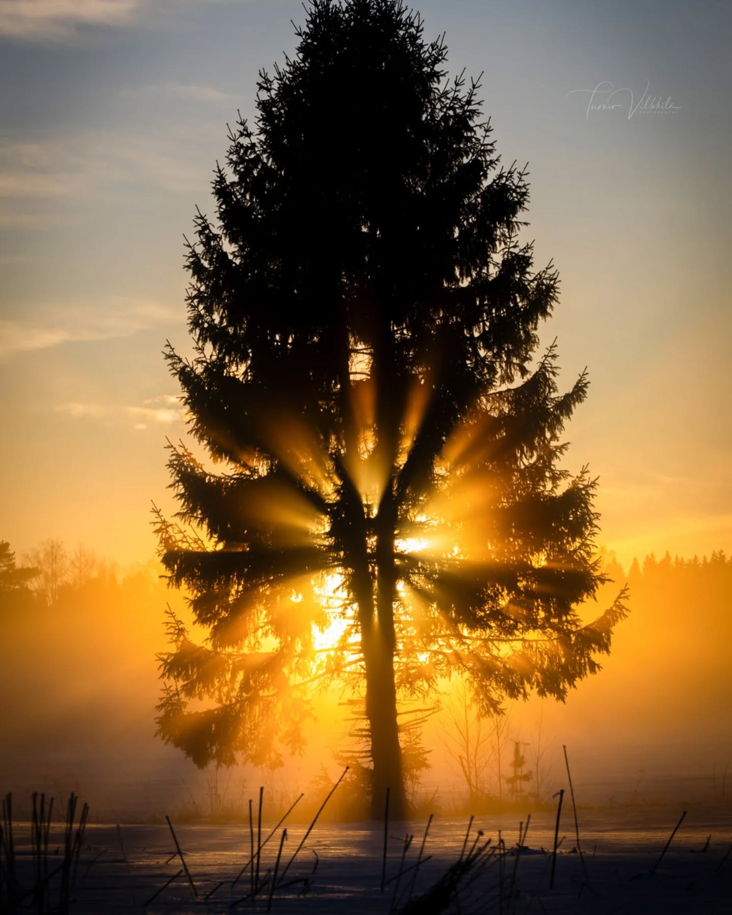 Happy Women's Day! ☀️🧡
Hyvää naistenpäivää! 👋🩷