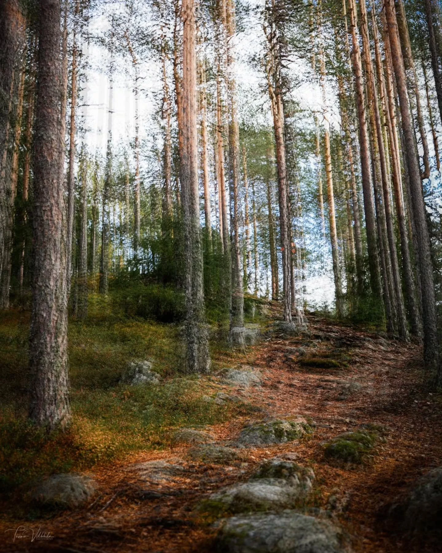 Monivalotuskuvia Kulhanvuorelta, Saarijärvi 📸
Multiple exposure photos from Kulhanvuori ✨