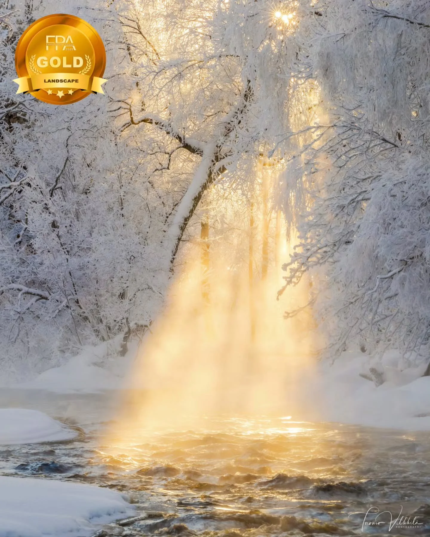 Honored to have won the Landscape category at the Finnish Photo Awards 2025 with my image Golden Serenity. 🌿✨
This recognition feels especially meaningful, as this photo has remained one of my personal favorites ever since the moment I captured it.