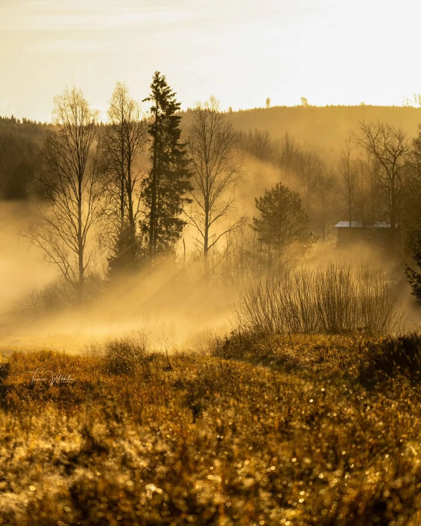 Pitk&auml;&auml;n jatkuneen pilvisyyden j&auml;lkeen aurinko maalasi maiseman kultaiseksi. ✨

Ty&ouml;matkalla Keuruun suuntaan oli pakko pys&auml;hty&auml; ottamaan muutamia kuvia. 📸☀️