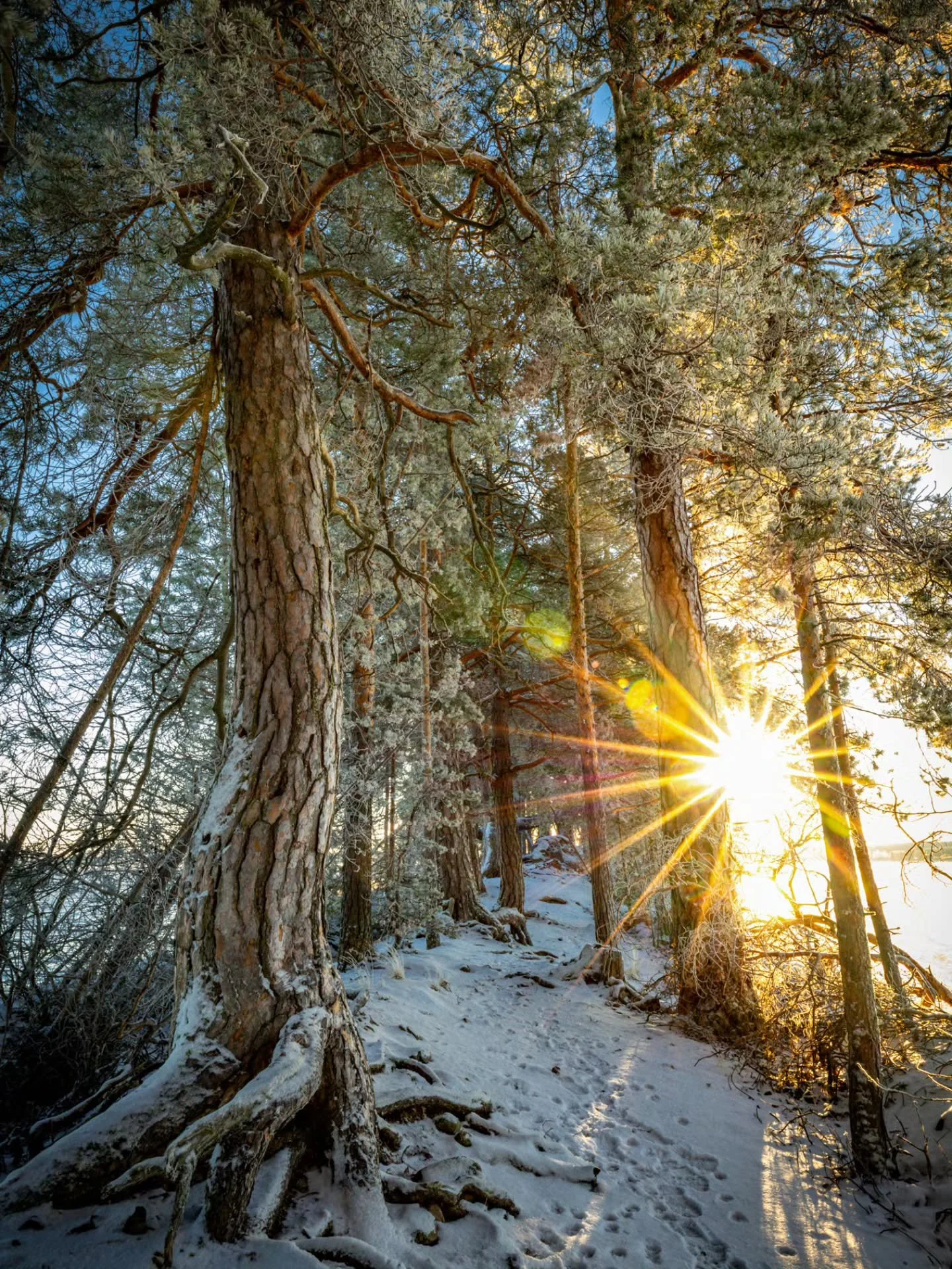Huikean kaunis aamu oli eilen Saarij&auml;rvell&auml;. ❄️☀️Kuva tutusta paikasta Summassaaren Haikank&auml;rjest&auml;.

Yesterday was a stunningly beautiful morning in Saarij&auml;rvi. ❄️☀️Photo taken from a familiar spot in Haikank&auml;rki, Summas