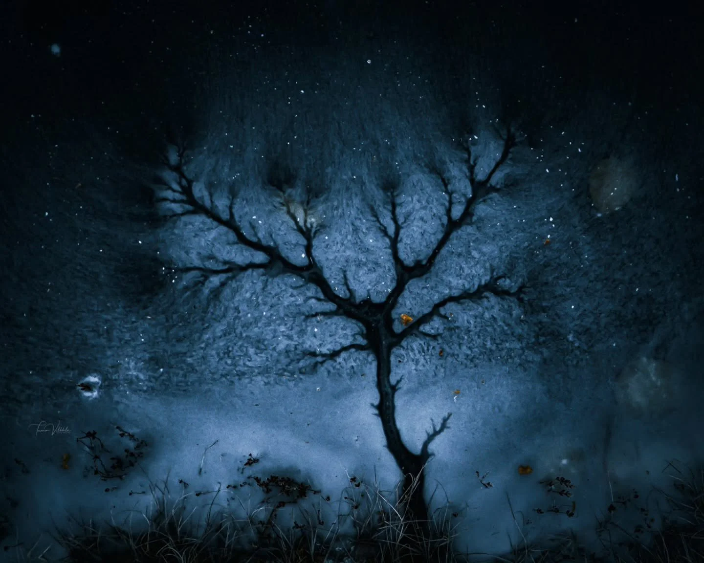 Winter Night Tree 🌲❄️
✨
Talviy&ouml;n puu 🌌