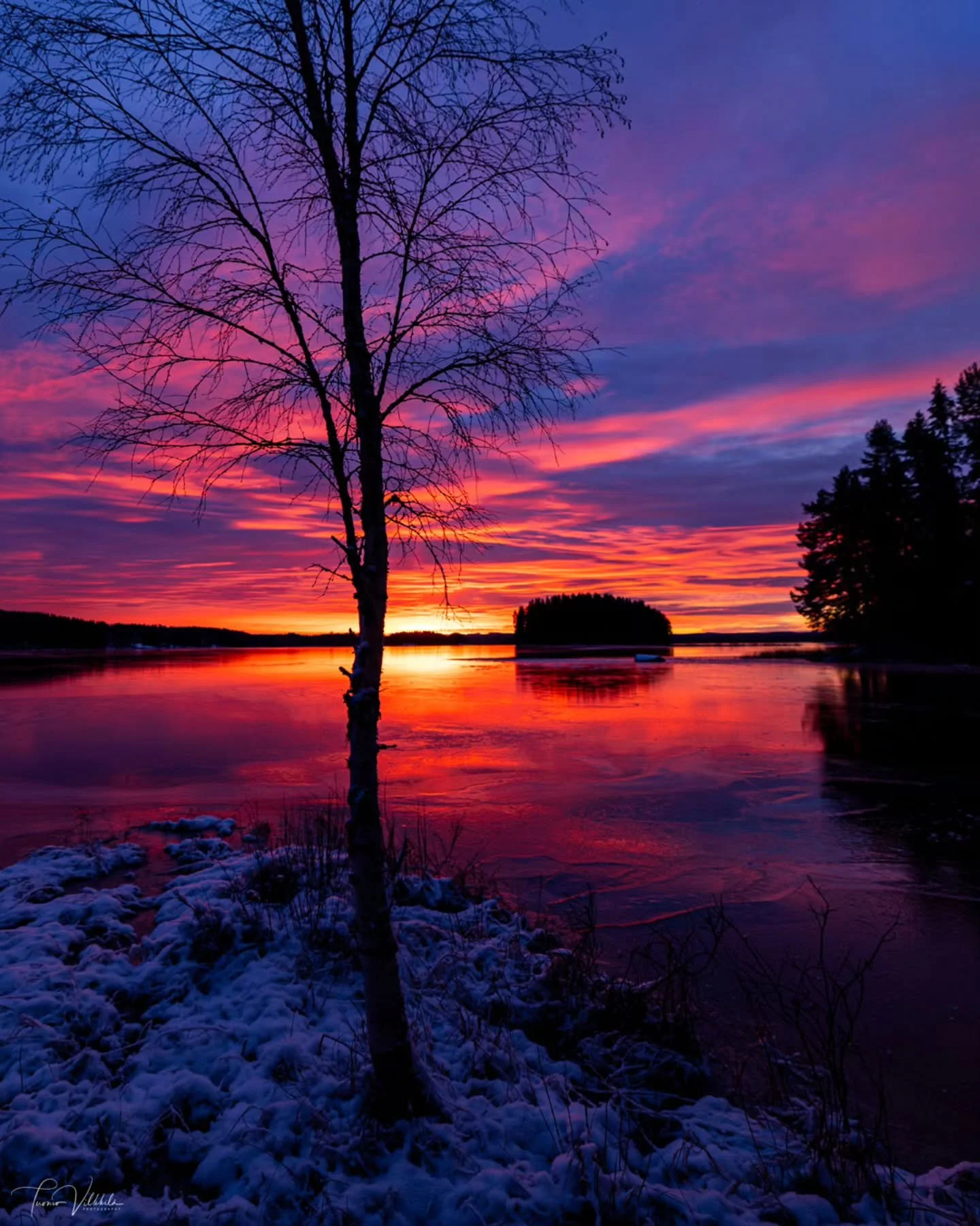 Reddish sunrise 💜
✨
Punertava aamurusko Lannevedell&auml; 14.2.2025 ❤️