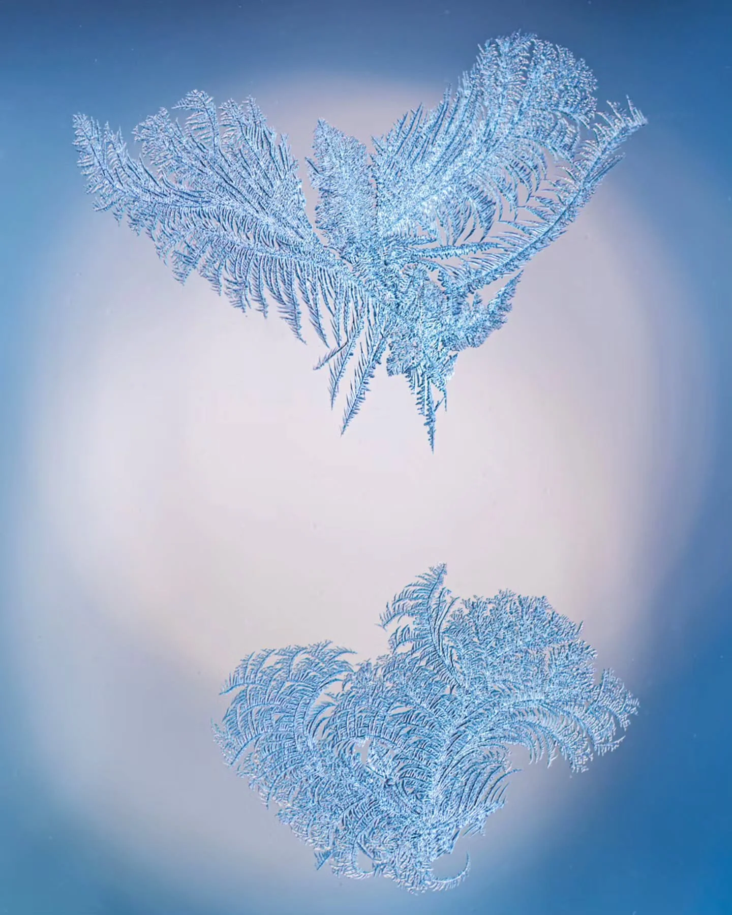 Rauhallista ja Hyv&auml;&auml; Joulua! ✨🎄🎁

Merry Christmas! 🧑&zwj;🎄