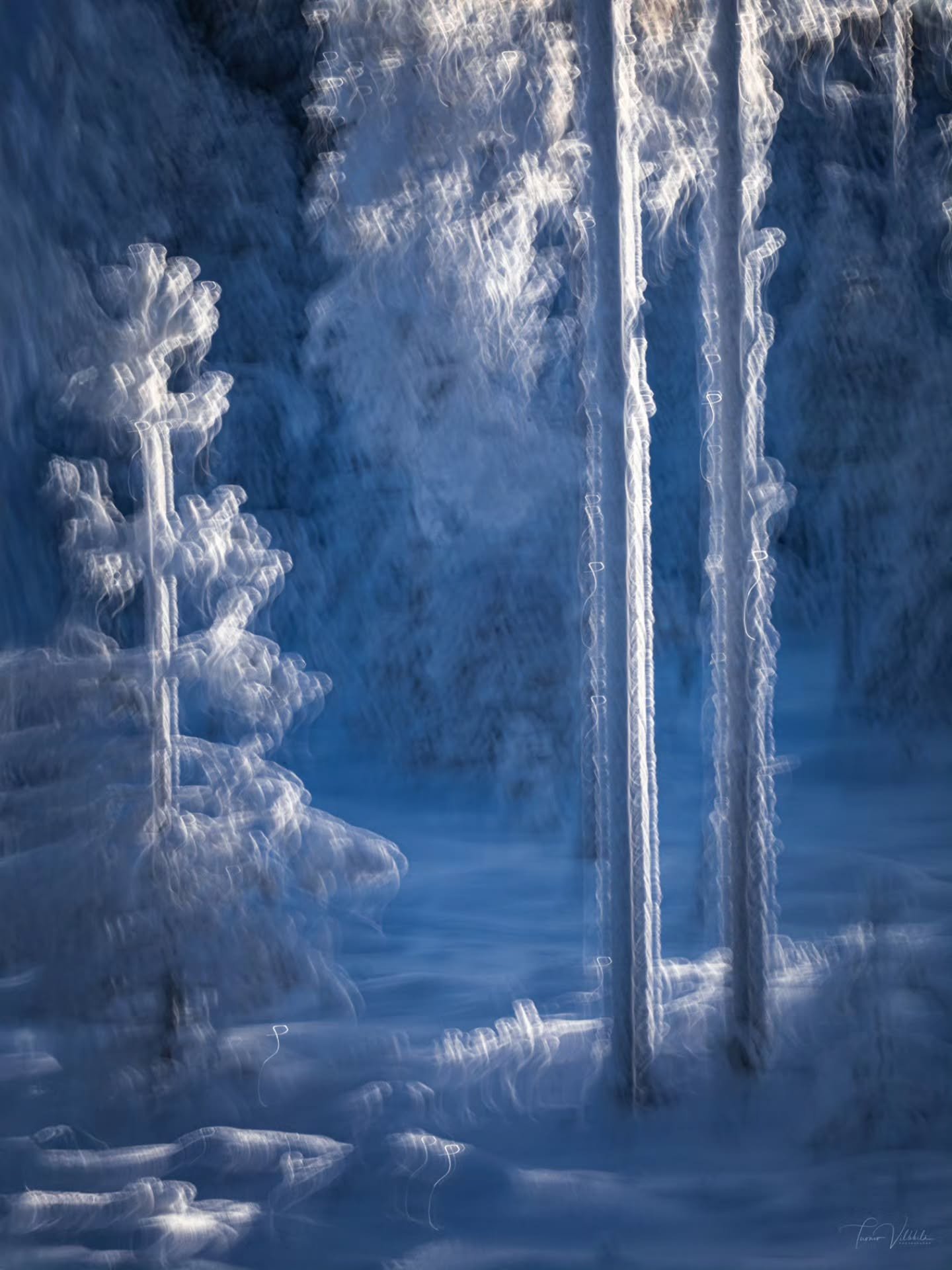 The blue hush of frost paints a landscape that feels more like a dream than reality.
A moment where nature whispers in its own language ✨🩵

Pakkasen sininen hiljaisuus piirt&auml;&auml; maiseman, joka tuntuu enemm&auml;n unelta kuin todellisuudelta.