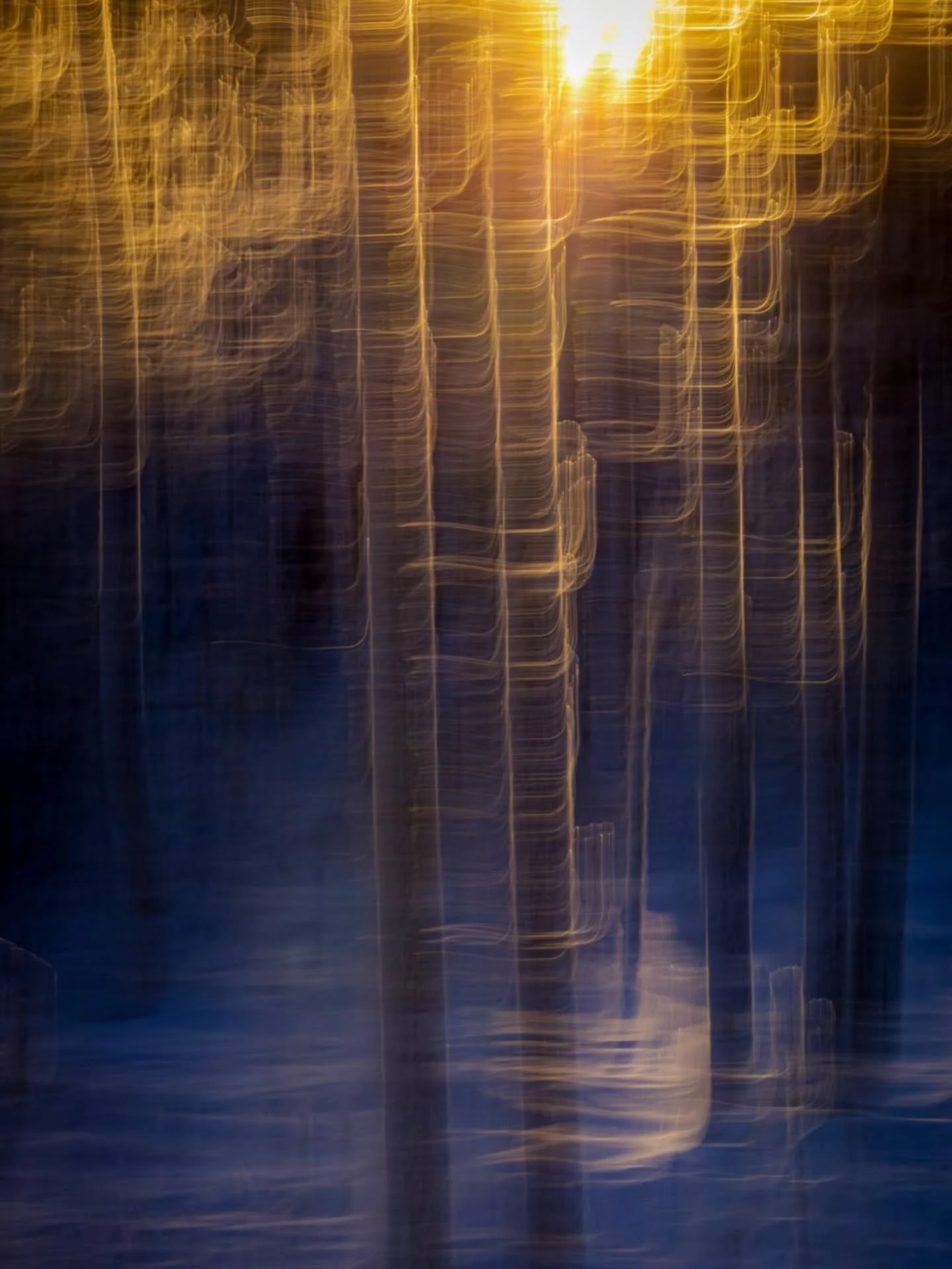 Where Cold Holds Warmth ✨

Toinen ICM otos kylm&auml;n talvip&auml;iv&auml;n kuvausreissulta, kun aurinko paistoi matalalta ja valo kietoutui kelopuiden runkoihin. ❄️☀️