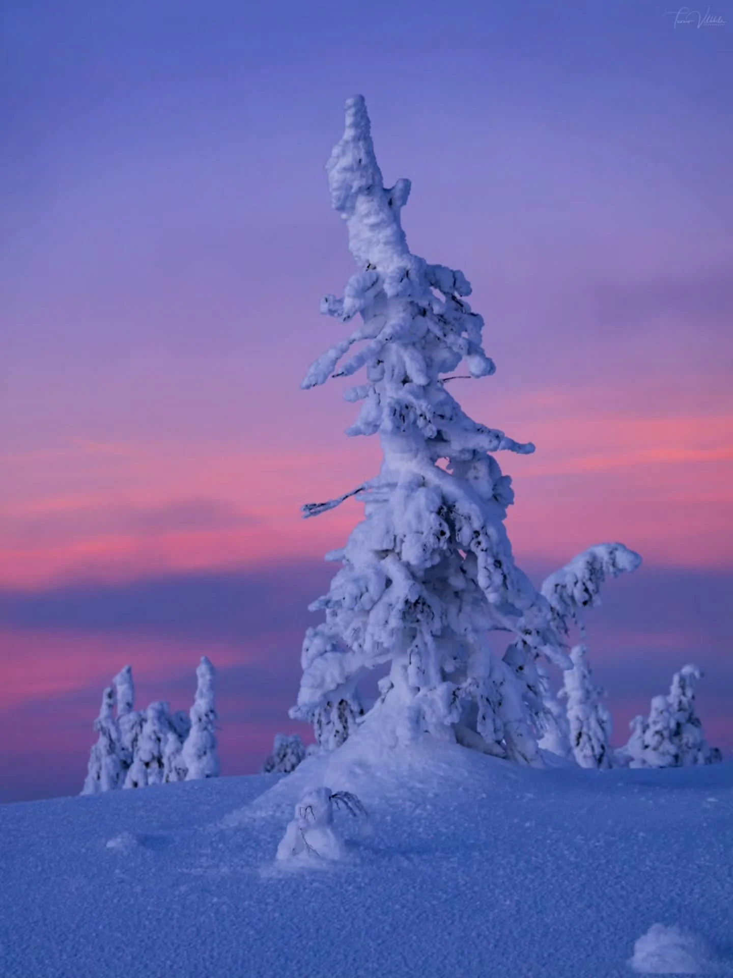 Winter has held its firm grip throughout the beginning of the year ❄️ But now there&rsquo;s clearly something new in the air. The light lingers a little longer each day, and nature feels like it&rsquo;s quietly preparing for spring.

These photos wer