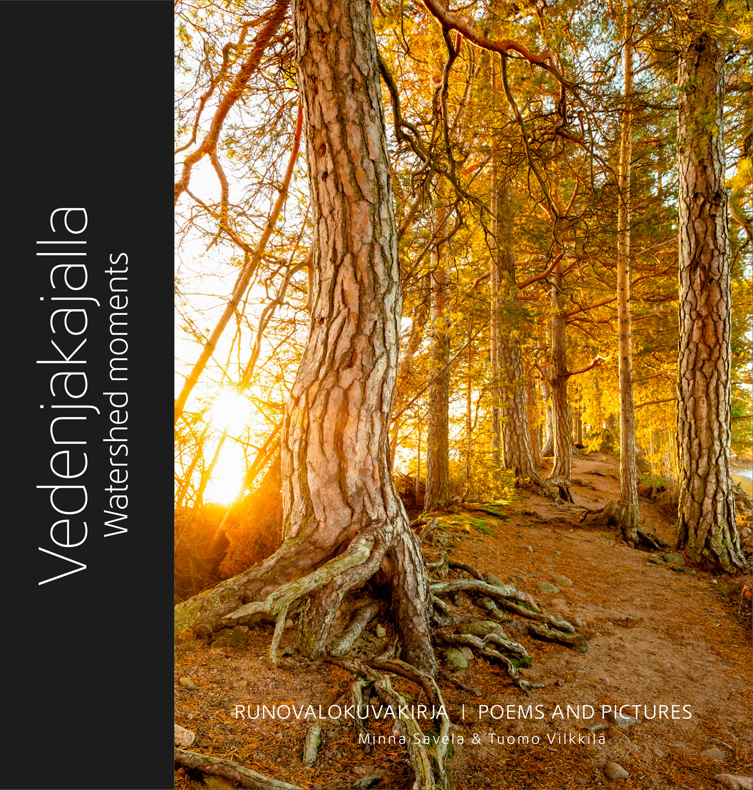 Vedenjakajalla-kansi 1.png