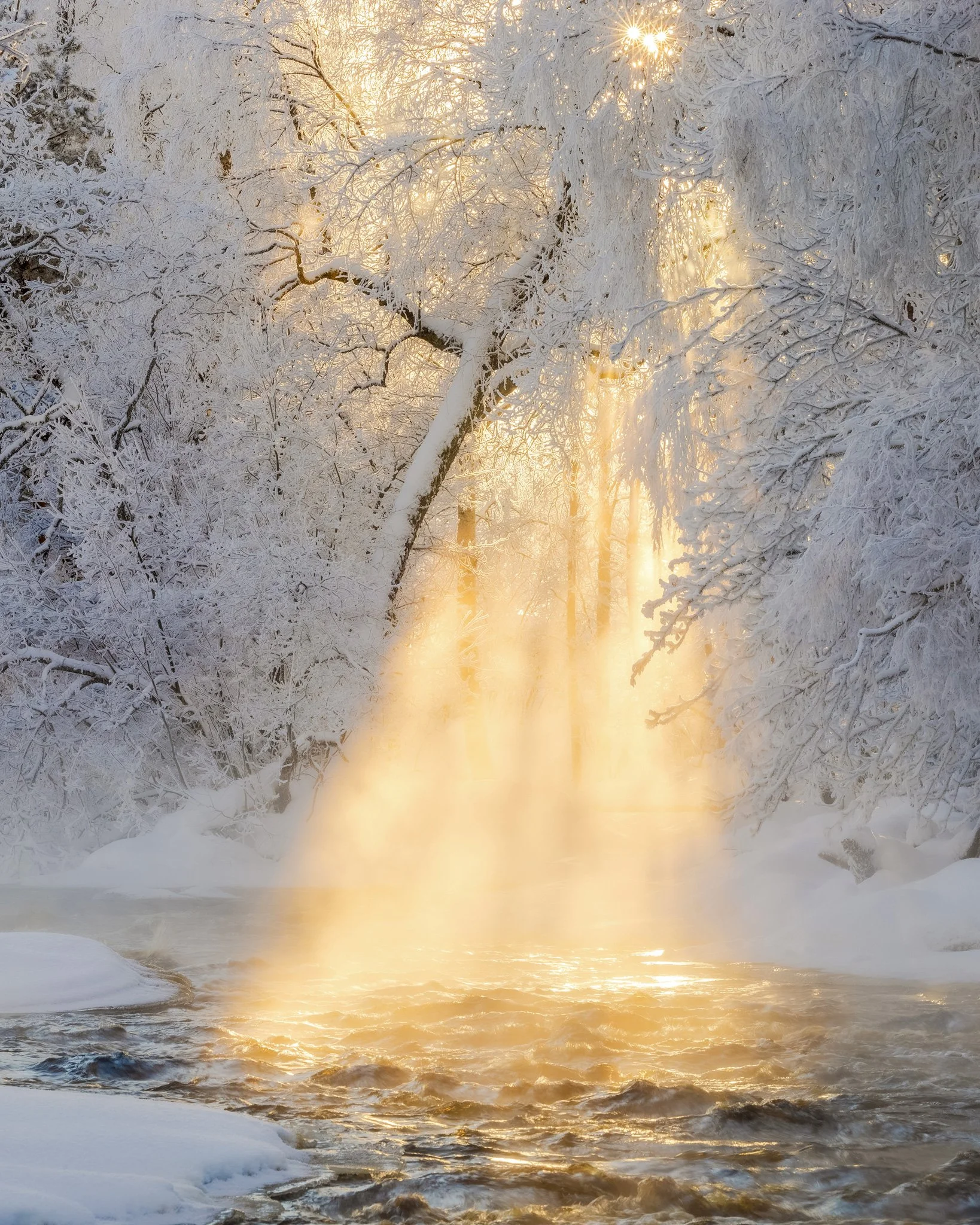 Golden Serenity voitti Finnish Photo Awards 2025 -kilpailun maisemasarjan