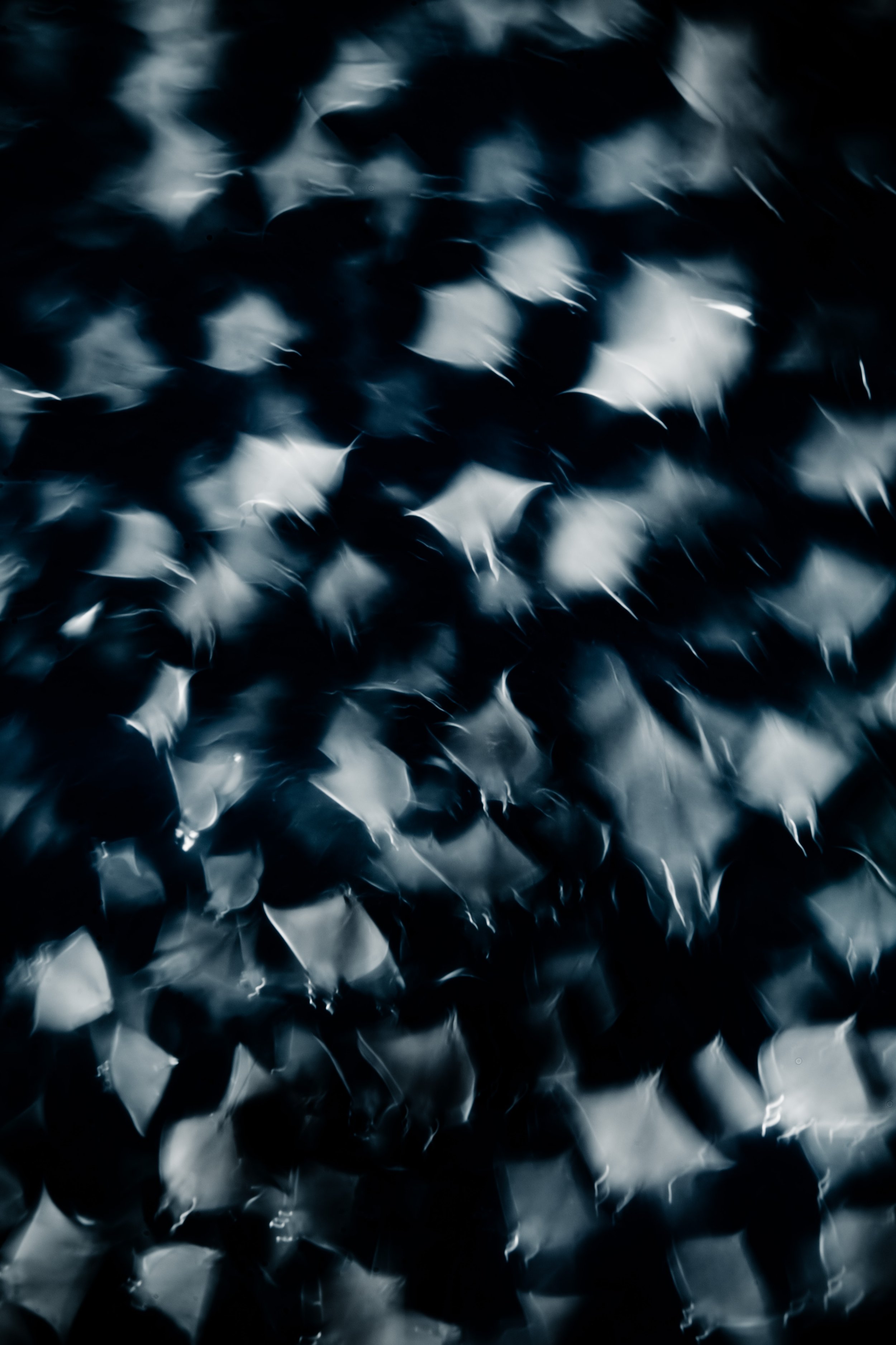 the ripple effect exhibition-8.jpg