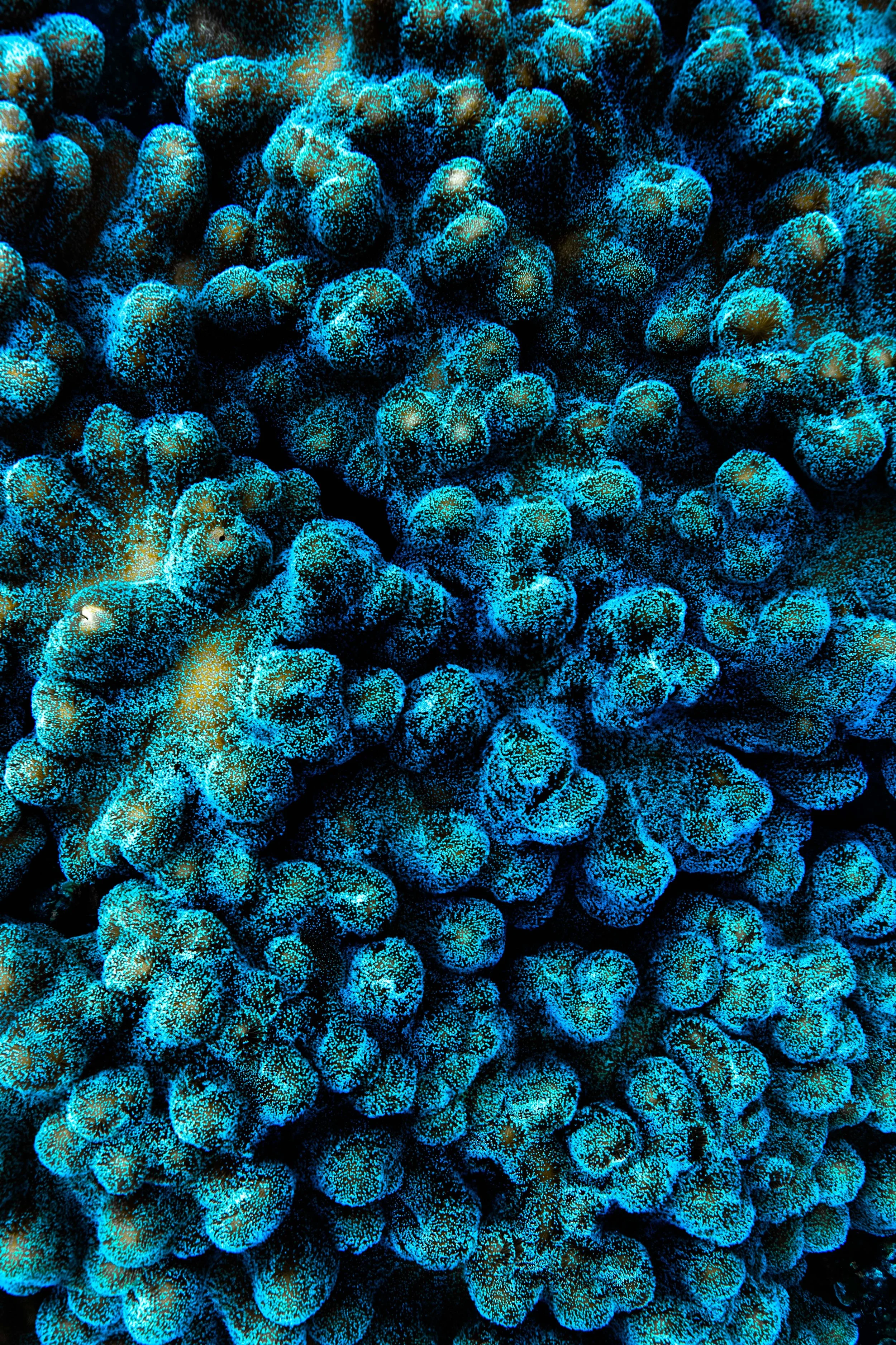 the ripple effect exhibition-6.jpg