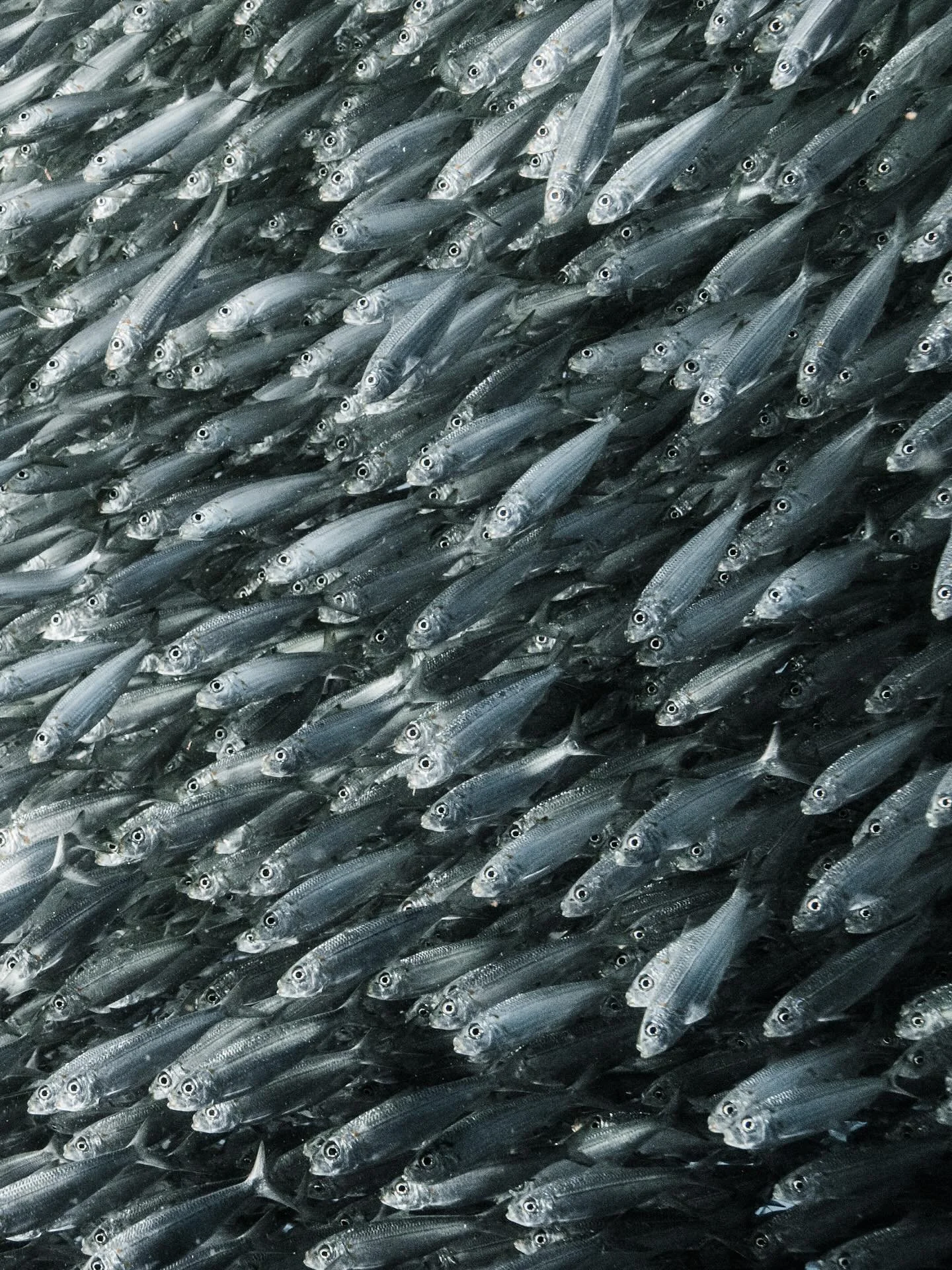 • Postcards from the Philippines •
Returning to a nomadic travel mode lately has had me reflecting on what it is that makes a trip one of the special ones. 
Late night editing sessions digging around in the archives led to me dusting off