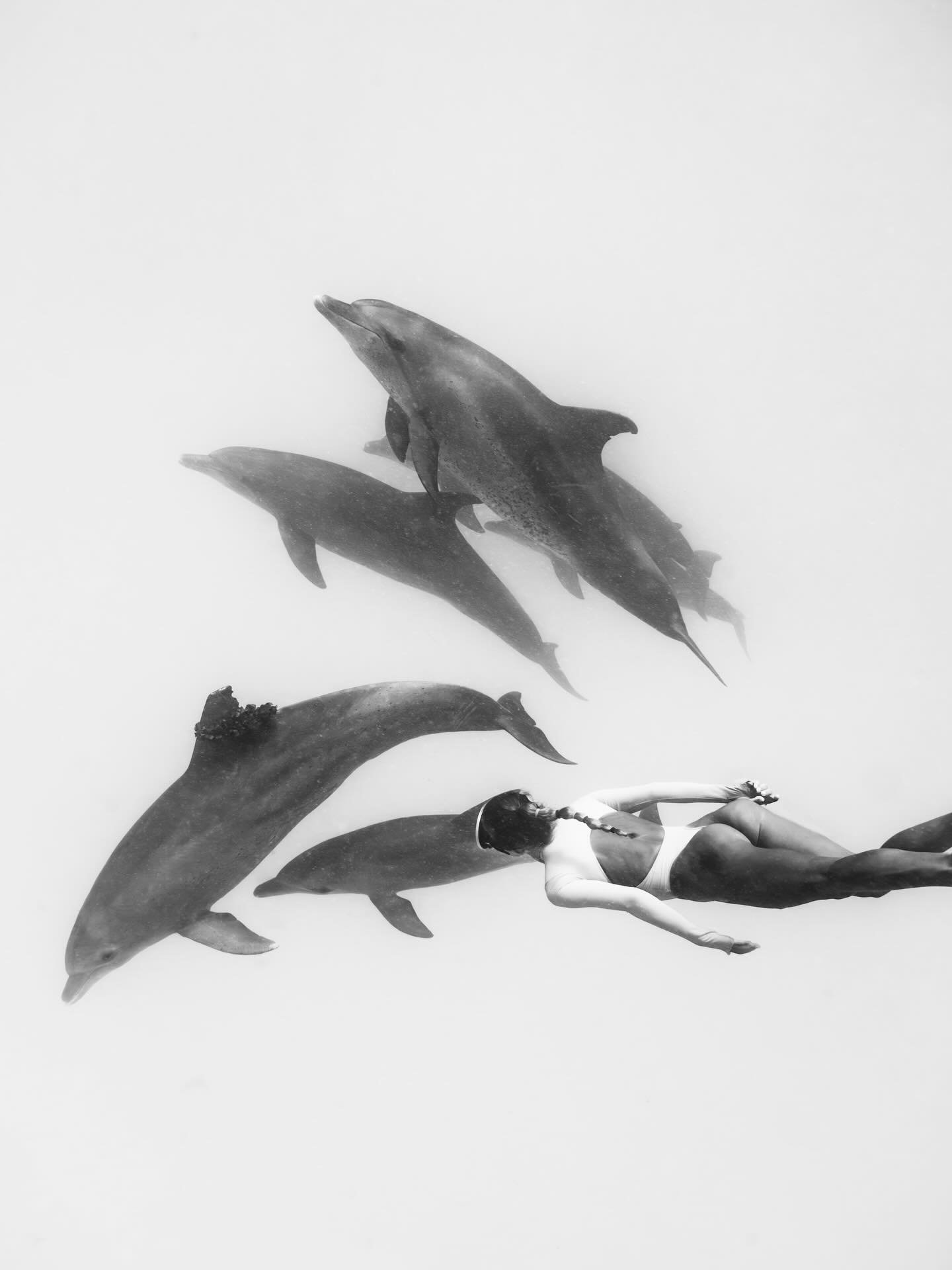 &bull; Soul of a Dolphin &bull;

Some people come into your life as if by magic. The days spent in the water last week with @zanzibar_mermaid and her dolphin tribe only proved this to me. 

The more I travel, the more I try to keep my plans open to a