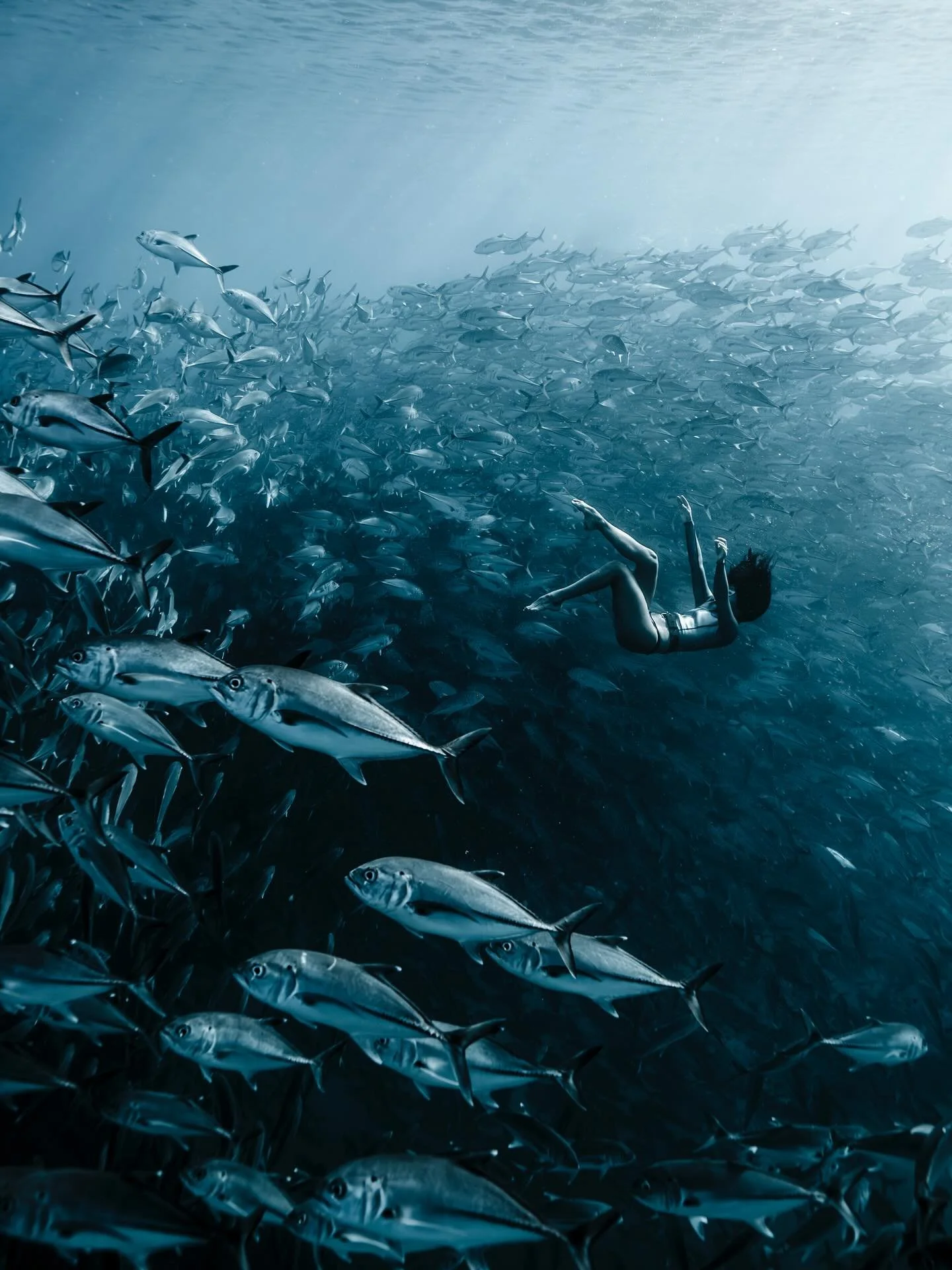 &bull; Reflections on 2025 &bull;

This year has been an expansive one, professionally and personally. A year of both finding home, and exploring beautiful and wild new territories. I put roots down in Mexico for the first time in a while after a cou