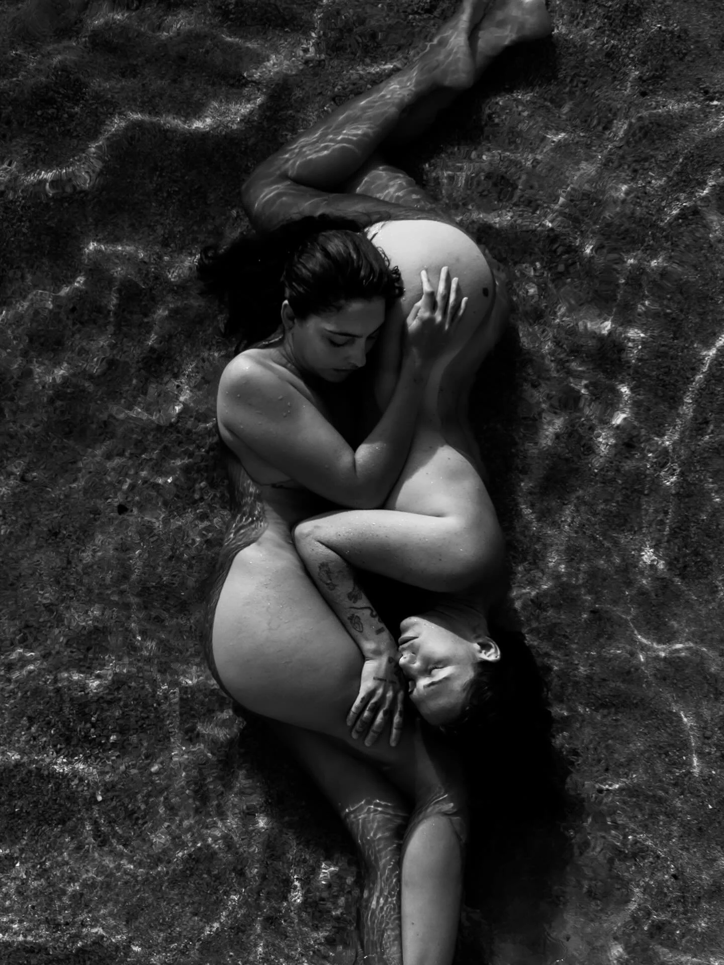 &bull; Interconnected &bull; 

Seeing the figures of marine life intertwined is one of the most beautiful silhouettes in the world to me. The sleek and statuesque forms of dolphins twirling around one another as they spiral through the depths, or the