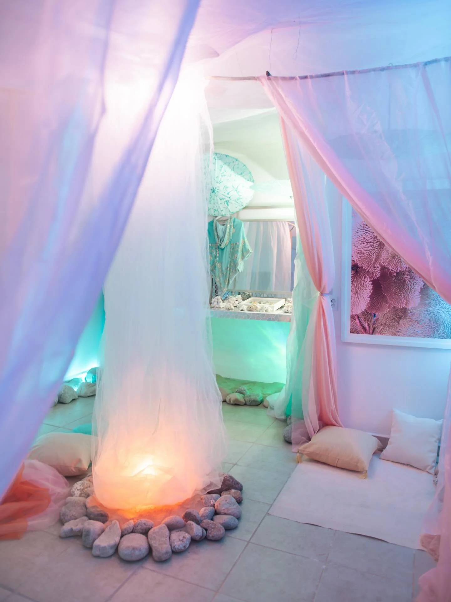 &bull; The Reef Reveal &bull; 

After a month of pouring love into this space, I&rsquo;m finally ready to open to the doors to my technicolour imagination once more. This reef is a cocoon where all of my artistic endeavours get to coexist - the photo