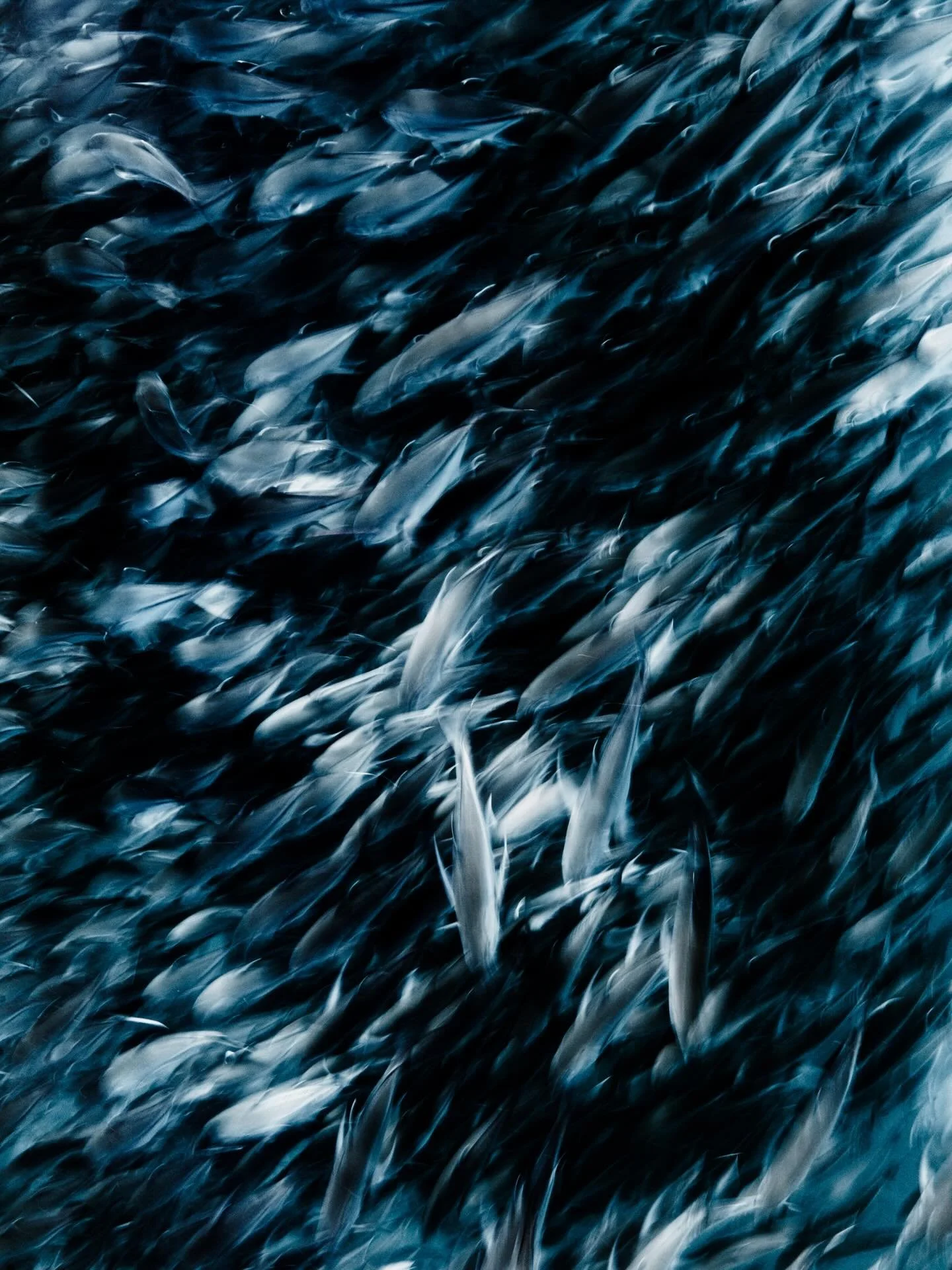 &bull; Paintings from the Deep &bull; 

Some of you may not know that I spent my formative years identifying solely as a painter. It was the only path I saw for myself, and having a brush in my hand brought me the level of peace that I now find in my