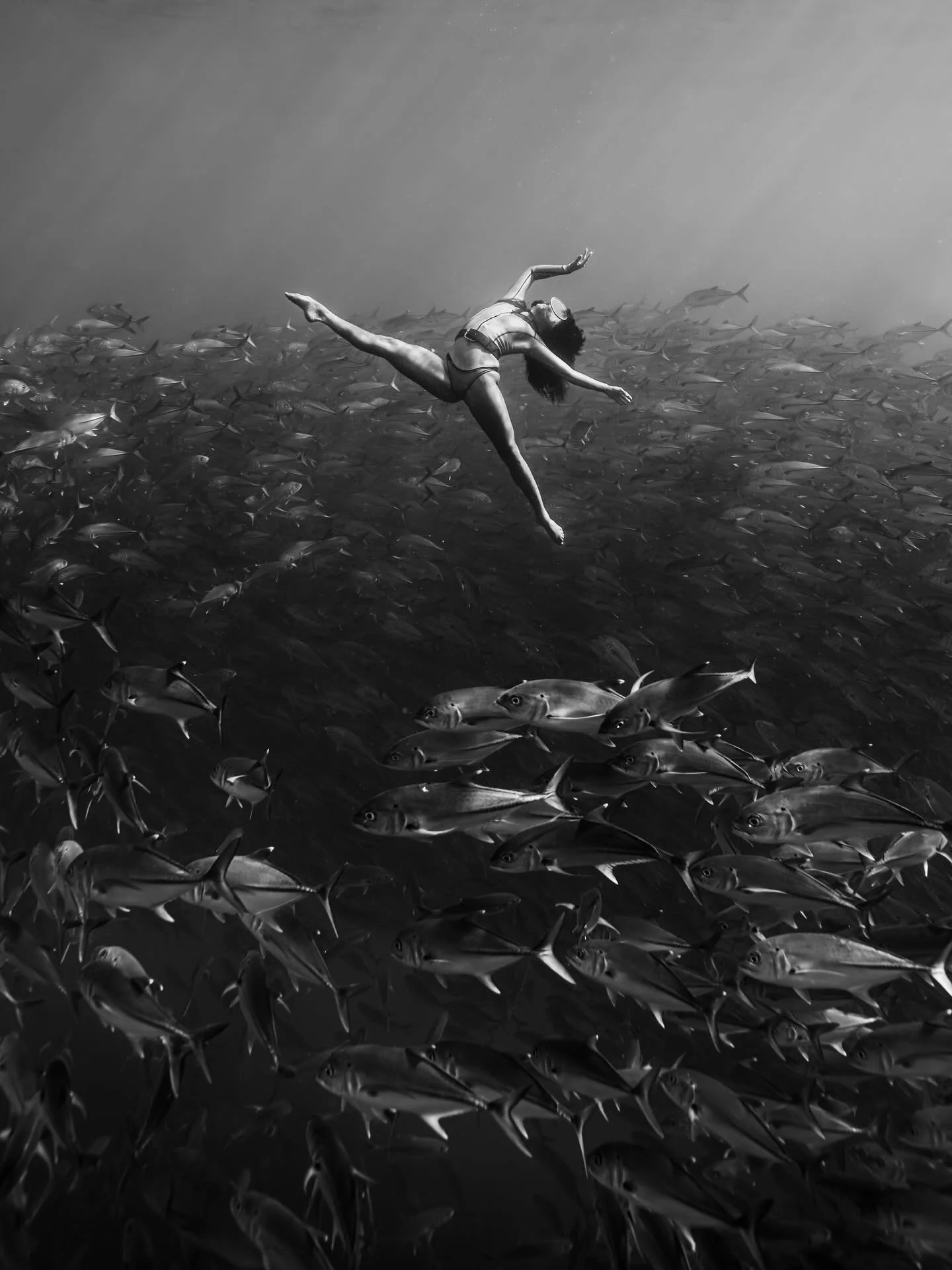 &bull; Behind The Mask Academy &bull;

Ever wanted to experience the feeling of gracefully freefalling through a ball of shimmering scales? Or to float suspended between the surface and the deep, eye to eye with a playful dolphin, with your own perso