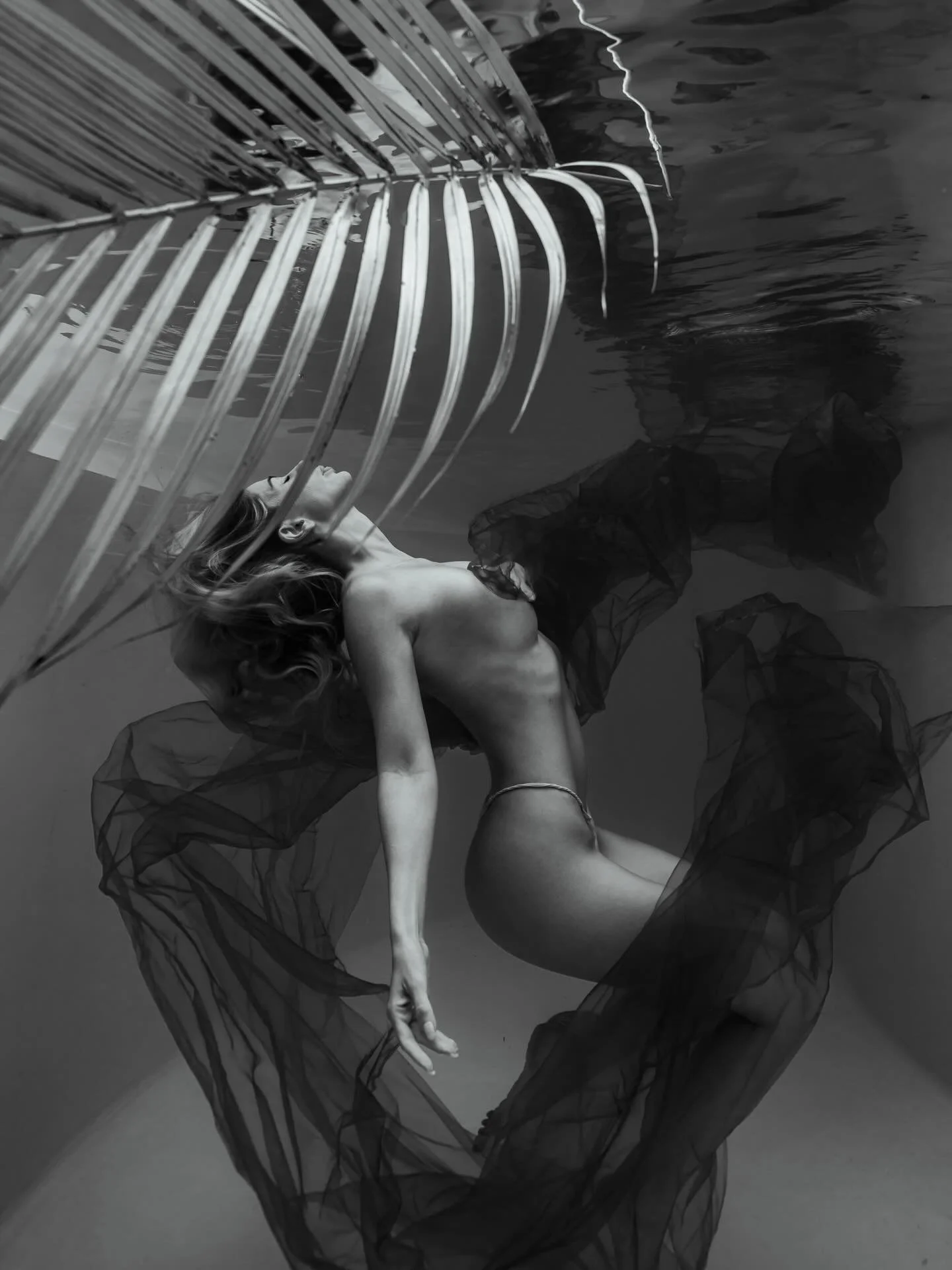 &bull; All of Me &bull; 

I often wonder why do I share the way I do? It&rsquo;s my belief that we are ultimately here to connect - with each other, with nature, with our purpose.

As an artist, I want the world to have all of me, for who knows how l