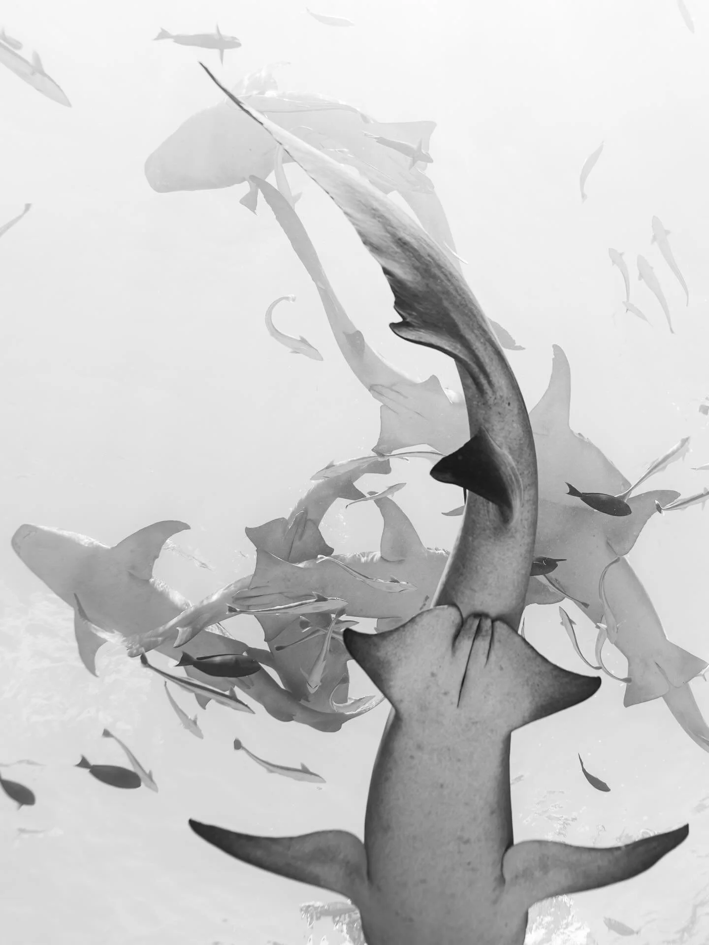 &bull; Forgotten Frames of 2024 &bull; 

As artists we are programmed to create, constantly seeking to share fresh output. Yet as a nostalgic creature, I am a huge advocate for spending time in the archives. Reflecting and honouring the moments that 