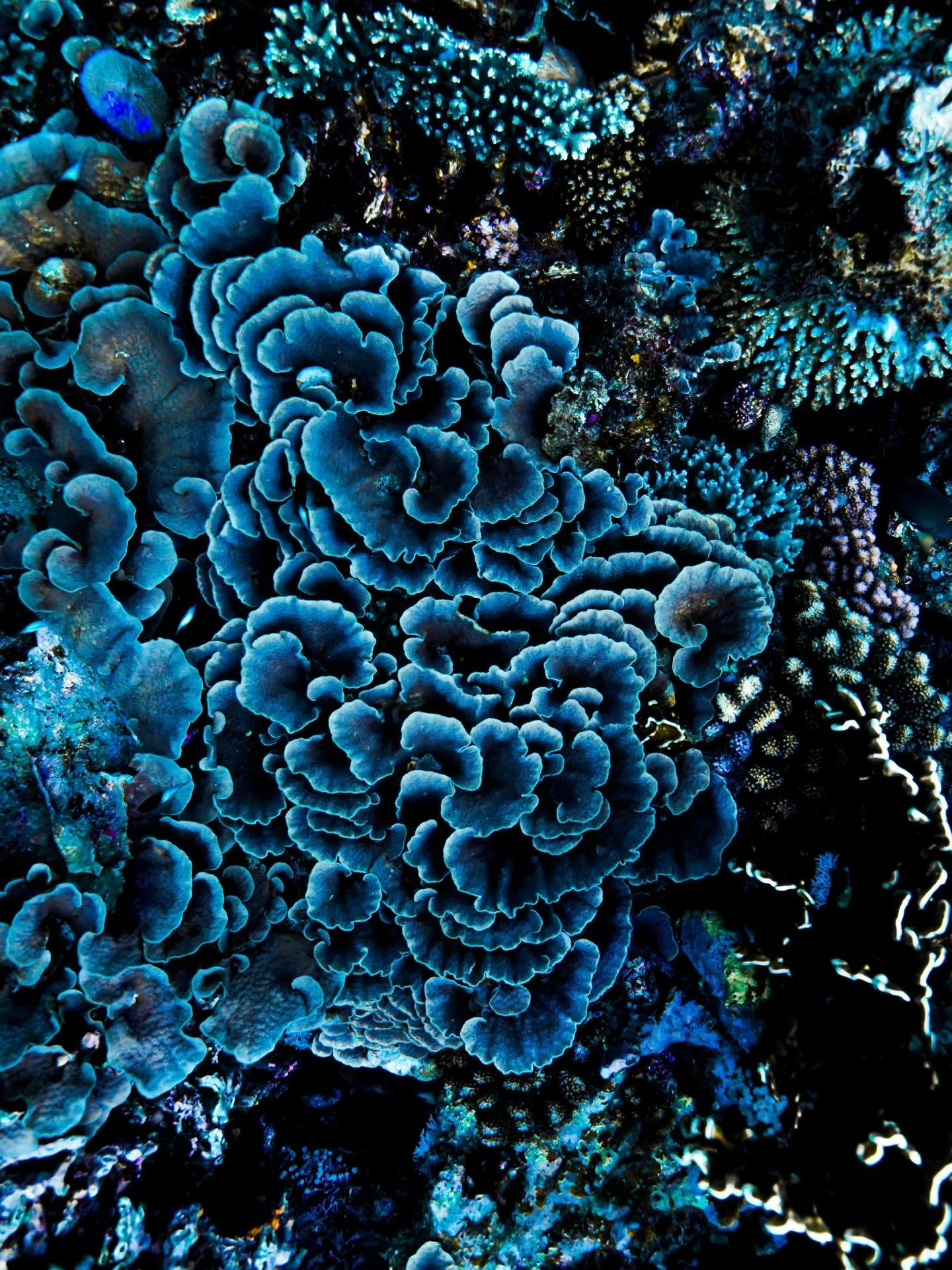 &bull; Everything is Art &bull; 

Every little piece of this planet we live on is a work of art. It perplexes and devastates me that we can exist within such a breathtaking, varied tapestry of nature, and still there is more focus on pillaging it and